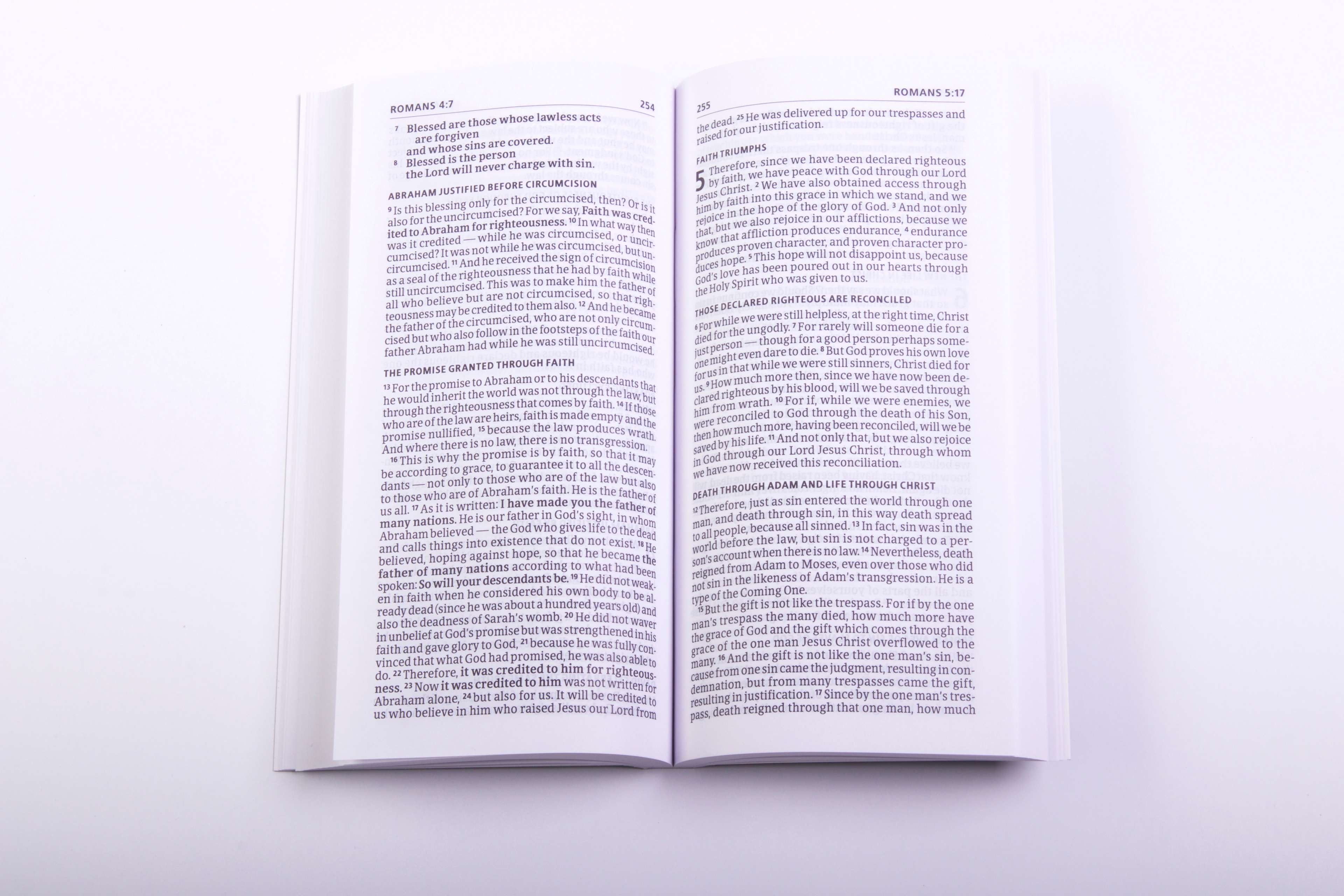 slide 8 of 10 for CSB Share Jesus Without Fear New Testament, Paperback