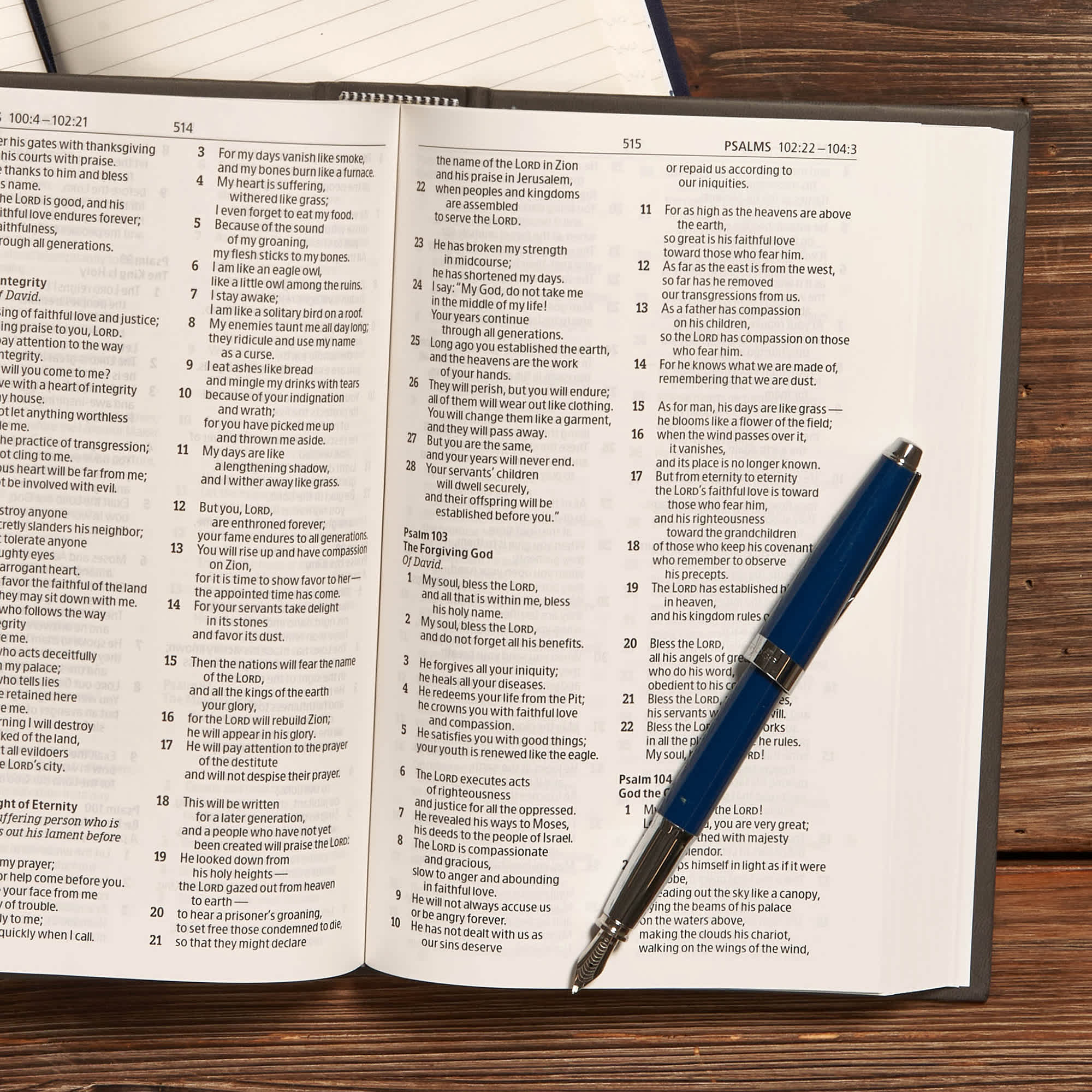 slide 4 of 9 for CSB Drill Bible, Gray LeatherTouch Over Board