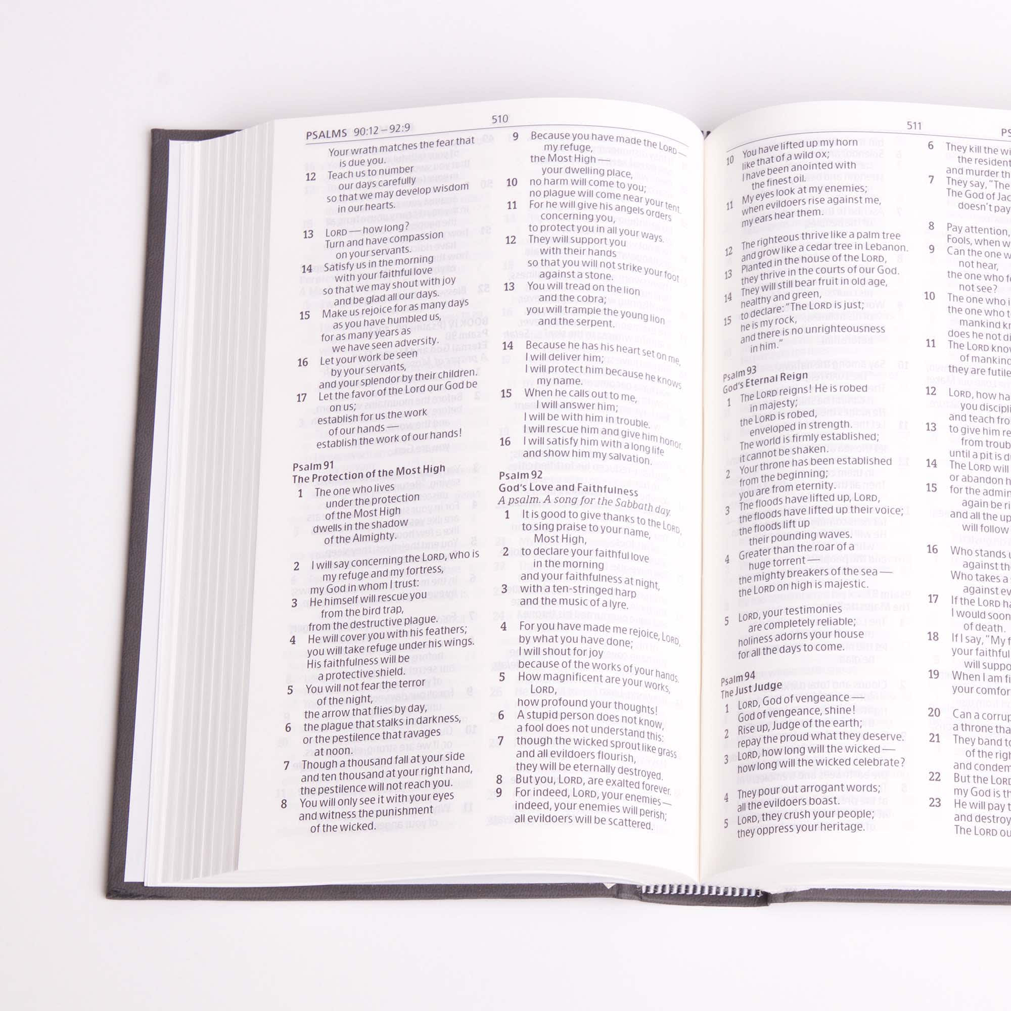 slide 6 of 9 for CSB Drill Bible, Gray LeatherTouch Over Board