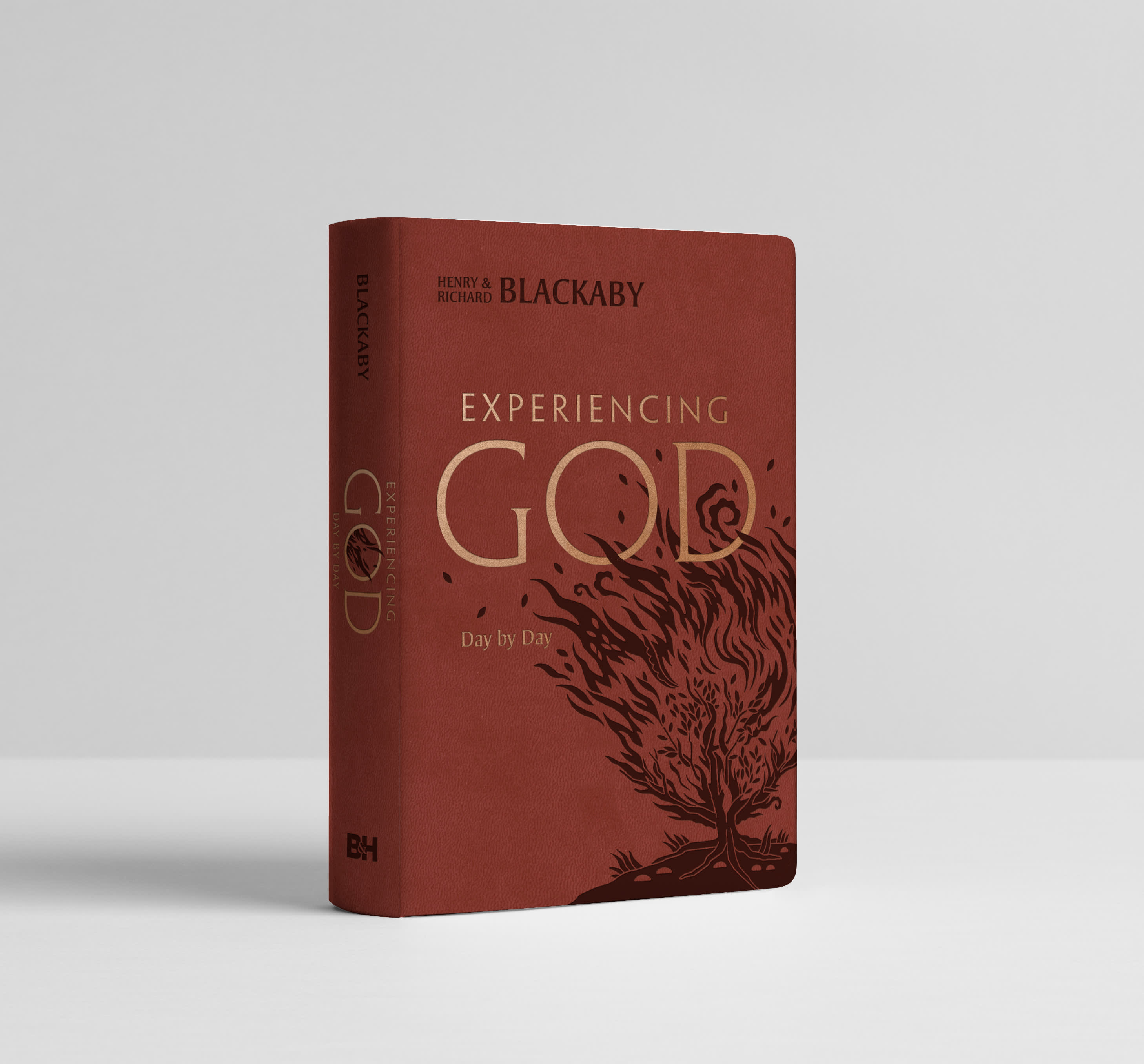slide 3 of 3 for Experiencing God Day by Day