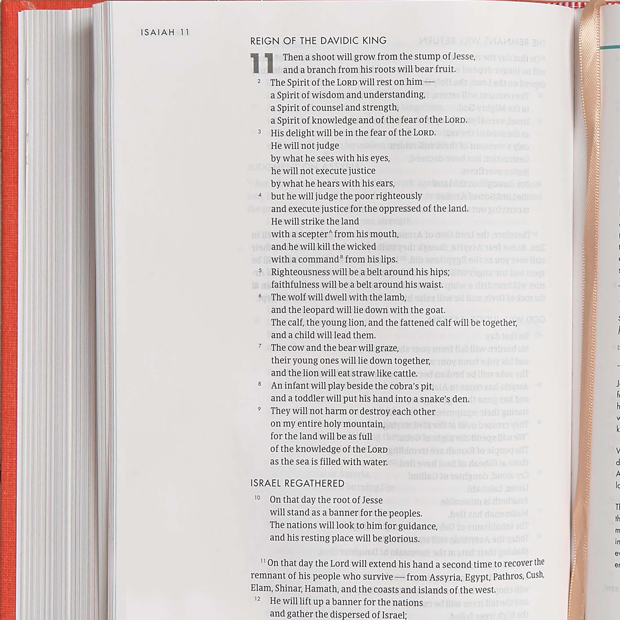 slide 6 of 10 for CSB She Reads Truth Bible, Poppy Linen Cloth Over Board