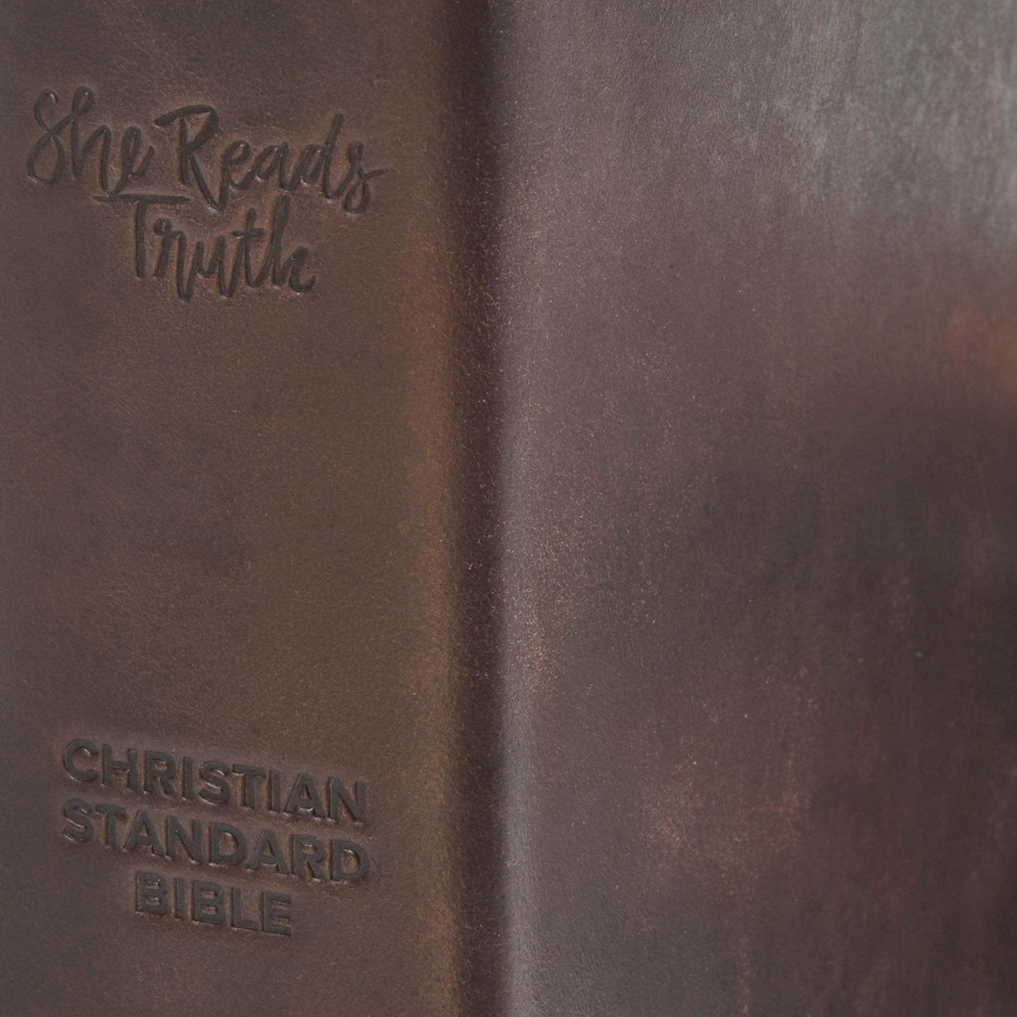 slide 4 of 5 for CSB She Reads Truth Bible, Brown Genuine Leather