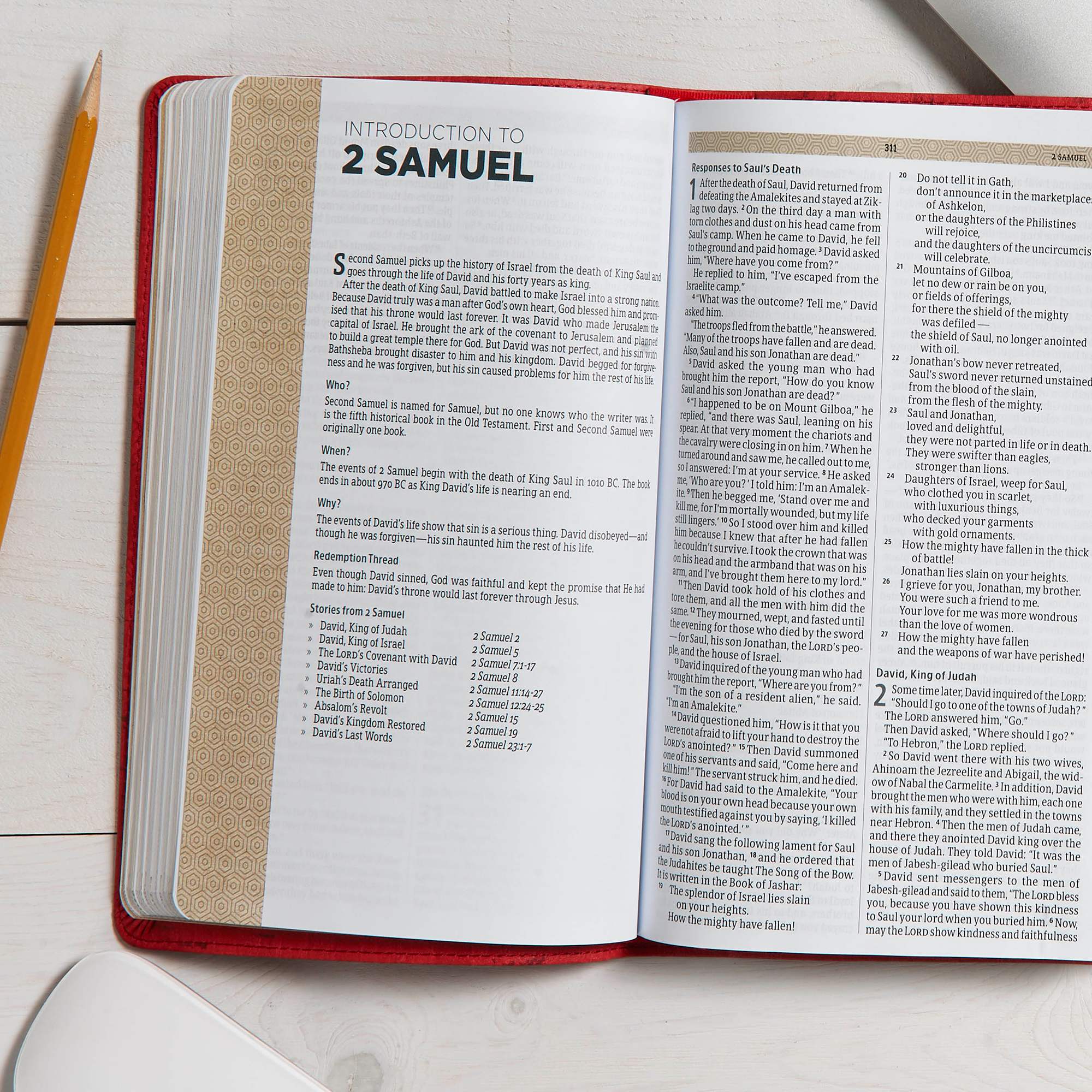slide 7 of 9 for CSB Essential Teen Study Bible, Red Flower Cork LeatherTouch