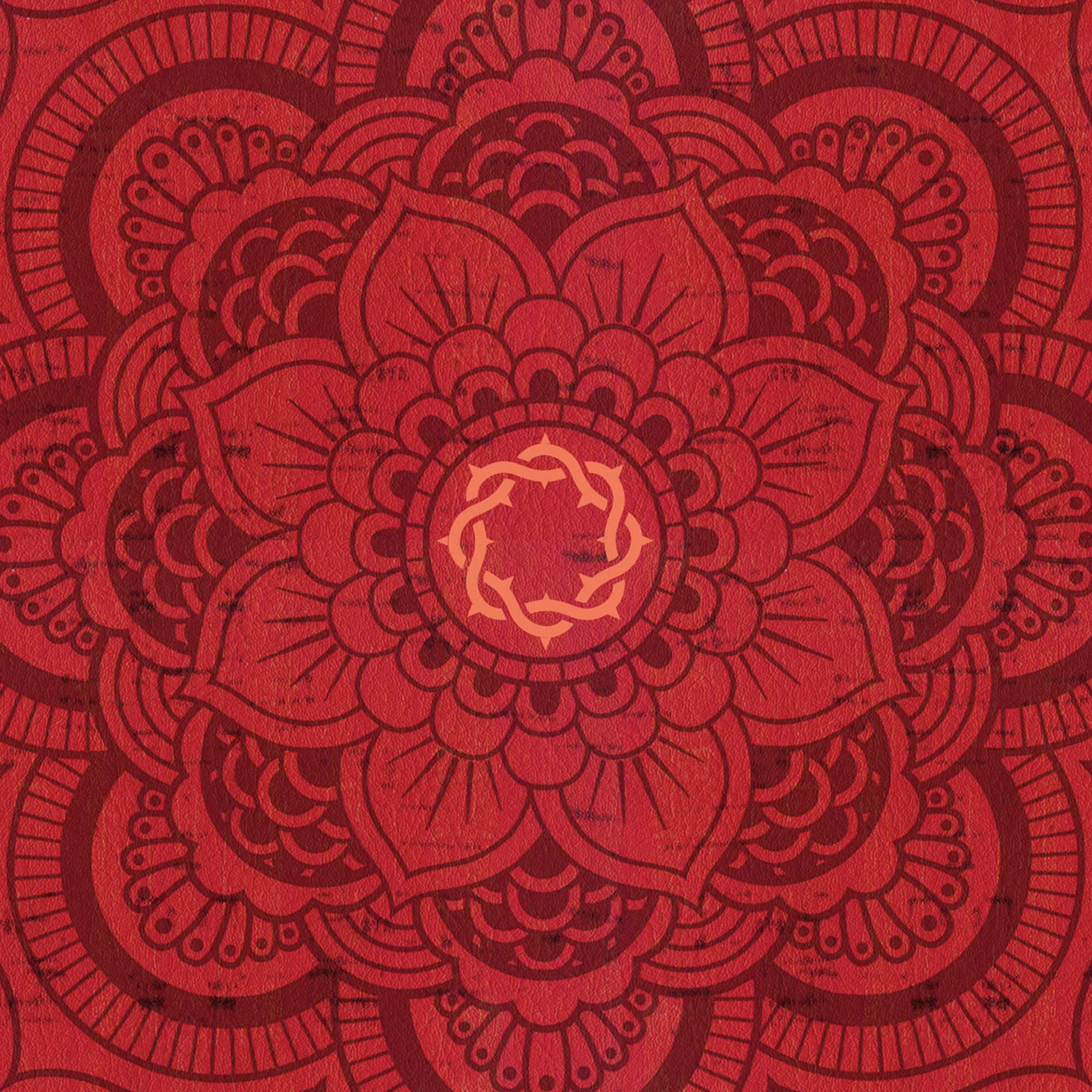slide 9 of 9 for CSB Essential Teen Study Bible, Red Flower Cork LeatherTouch