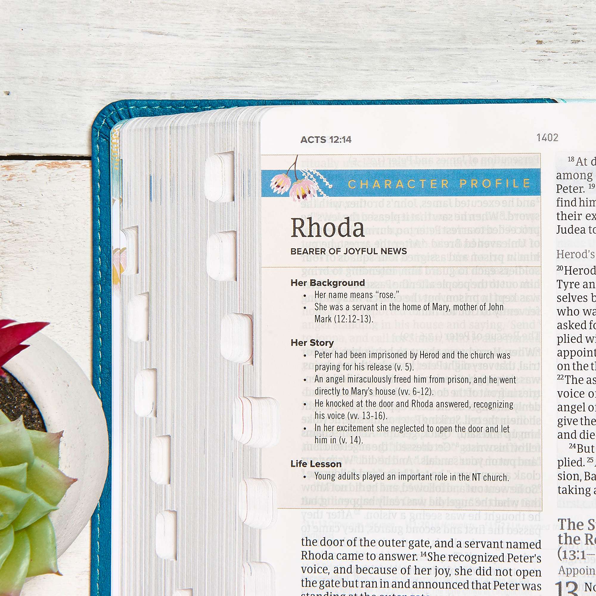 slide 7 of 9 for The CSB Study Bible For Women, Teal Flowers LeatherTouch, Indexed