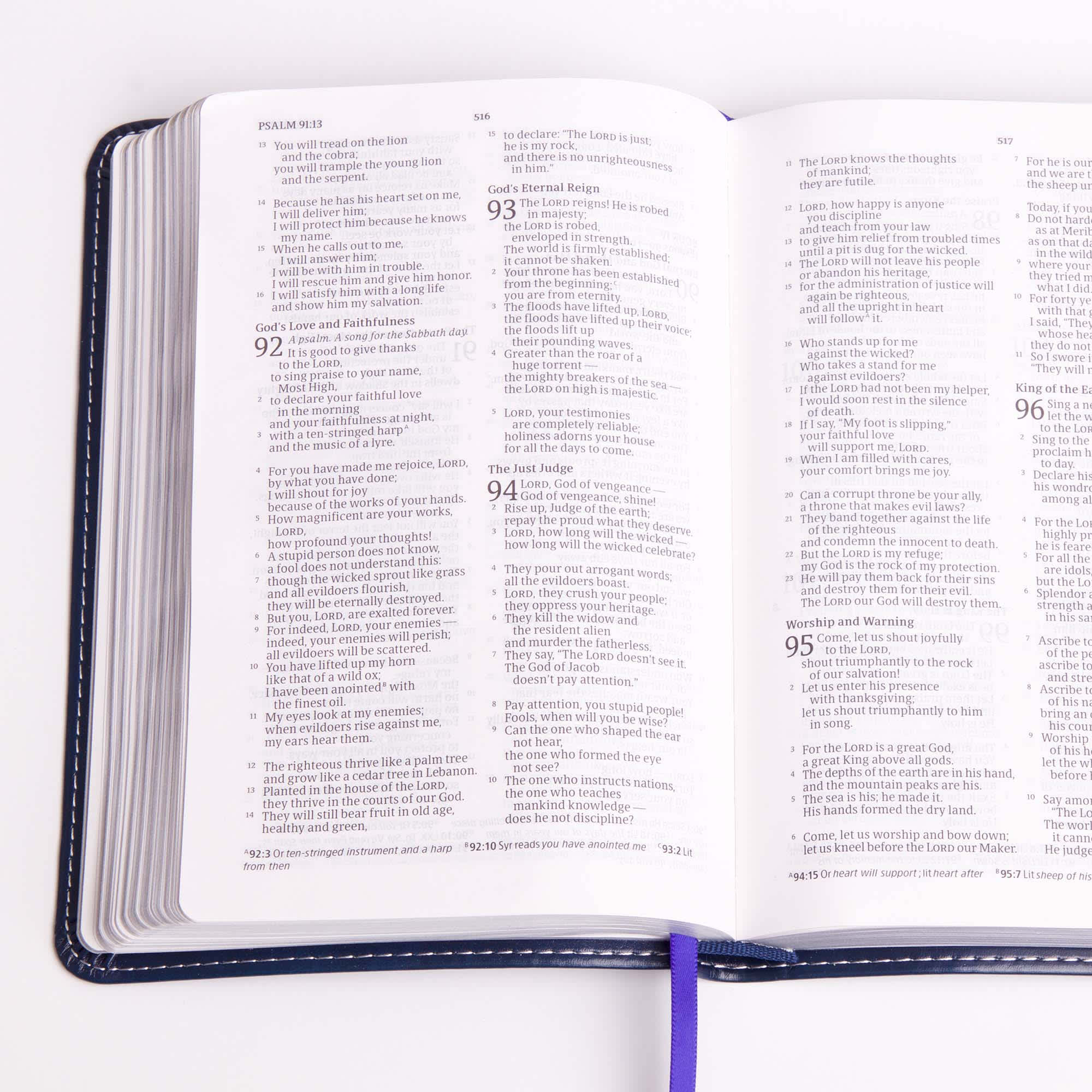 slide 6 of 9 for CSB Nurse's Bible
