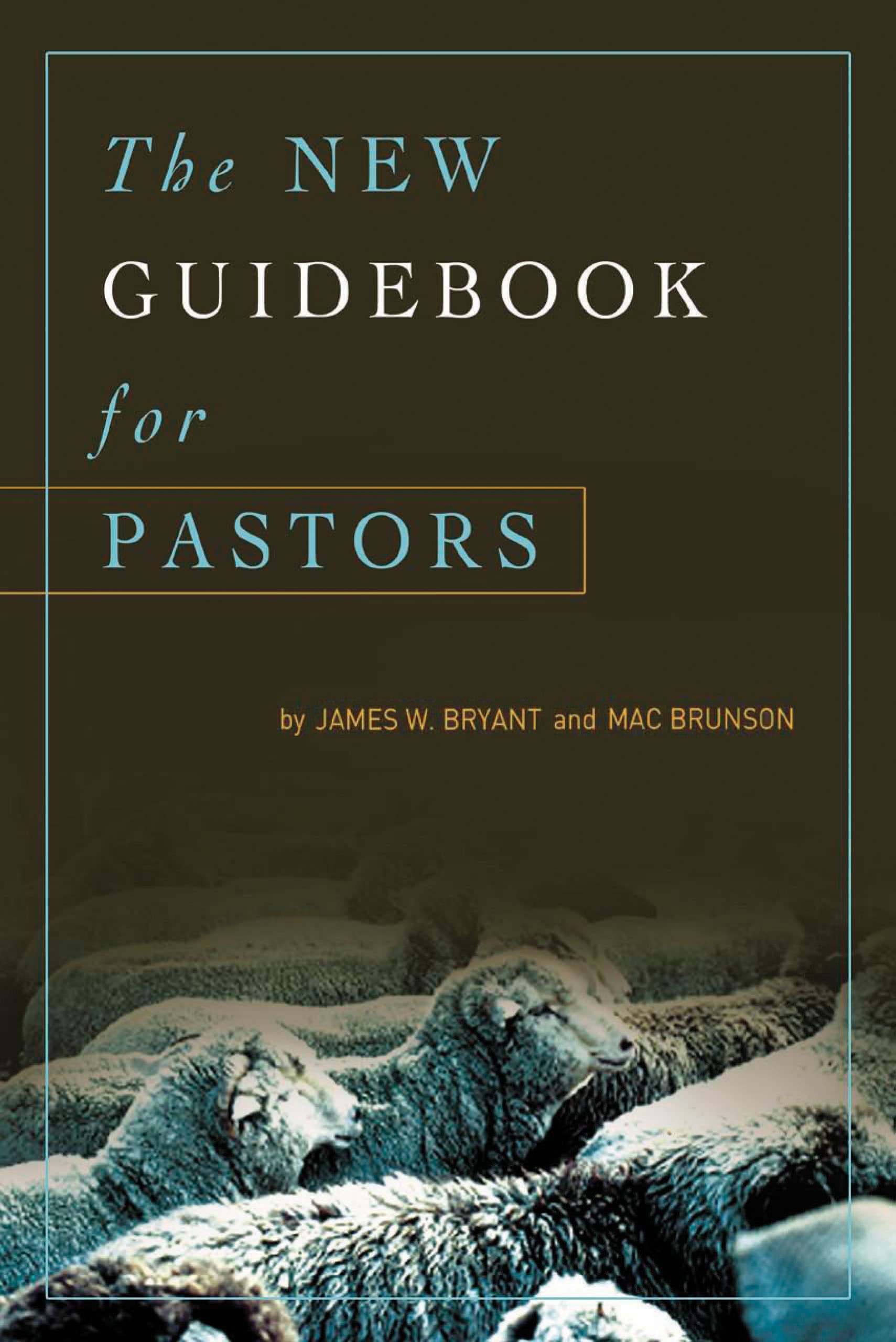 eBook - The New Guidebook for Pastors