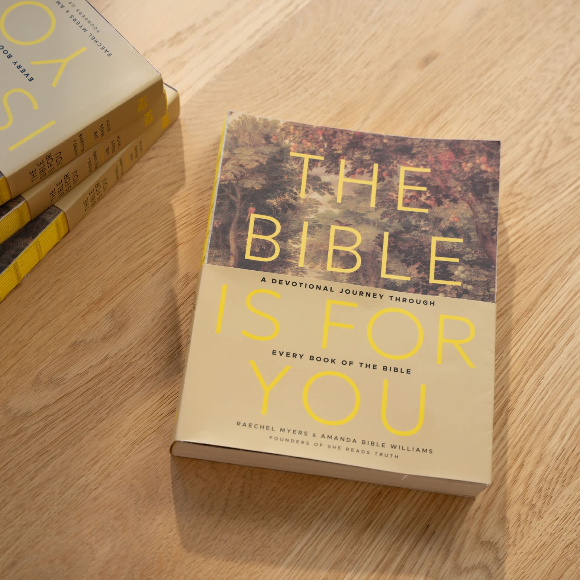 slide 5 of 14 for The Bible Is for You