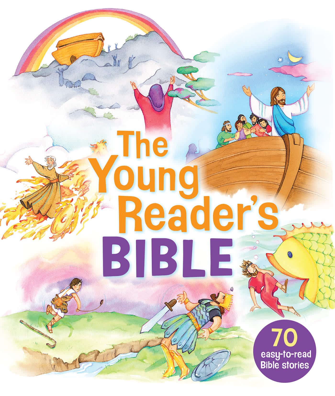 eBook - The Young Reader's Bible