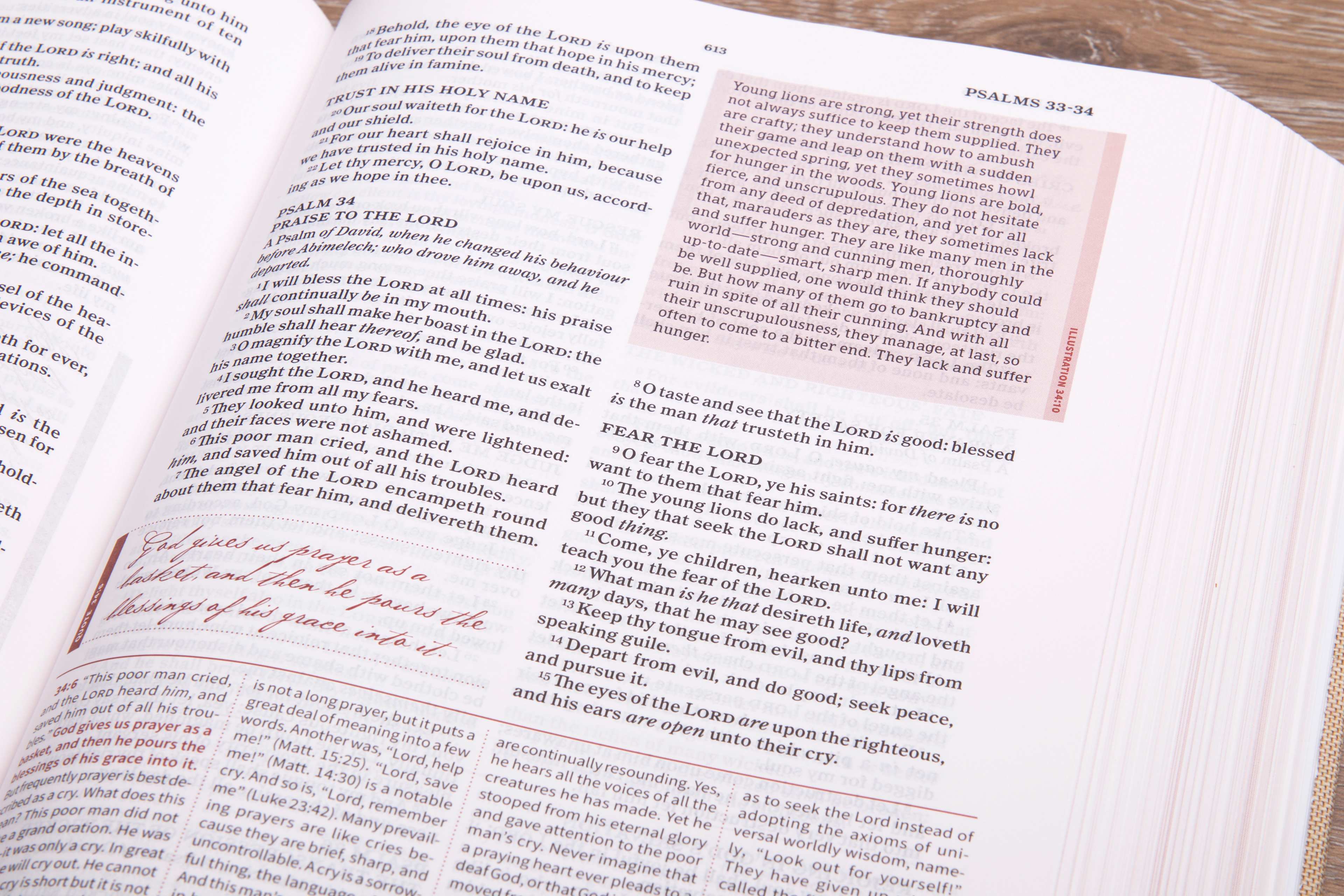 slide 10 of 10 for KJV Spurgeon Study Bible, Navy/Tan Cloth Over Board