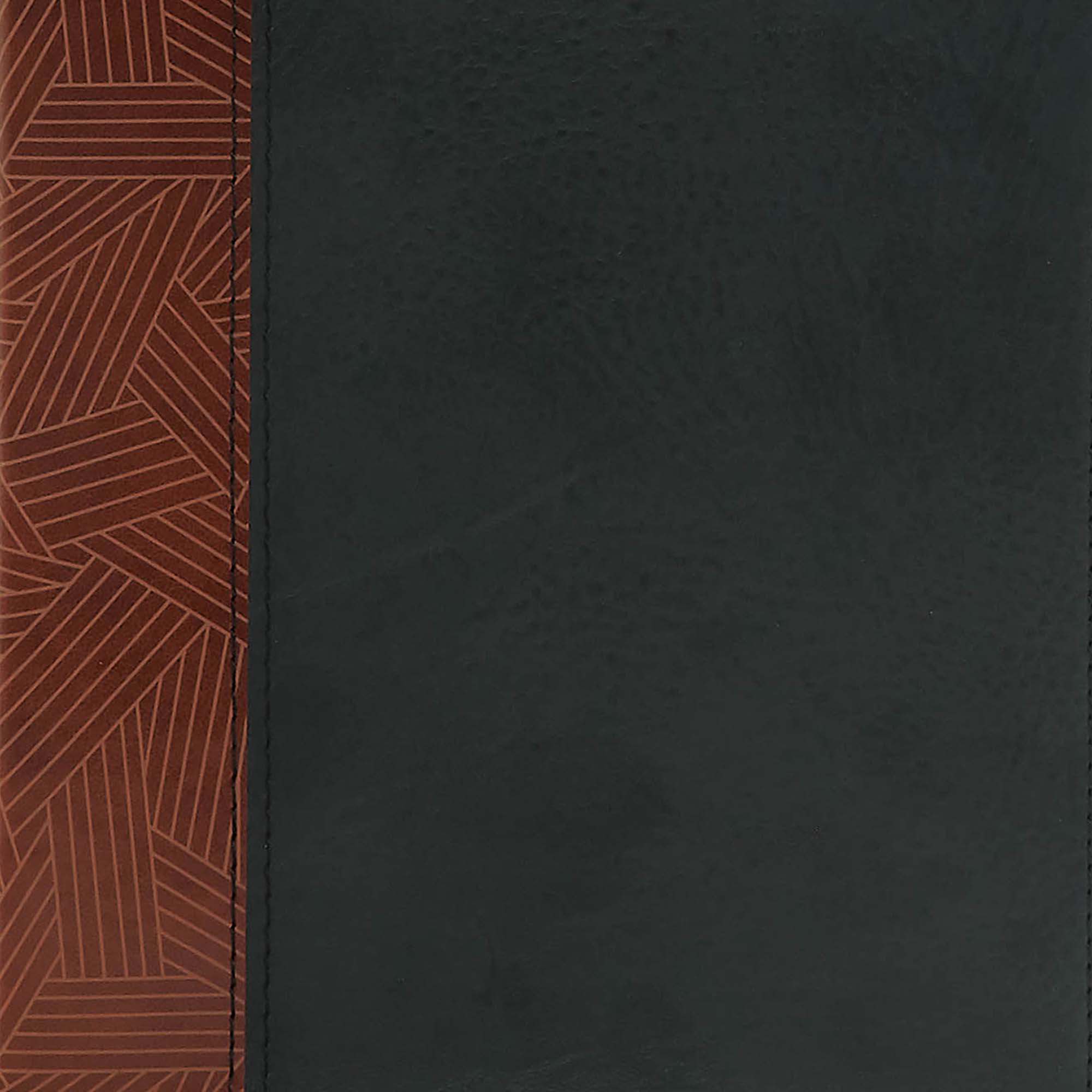 slide 8 of 9 for CSB Rainbow Study Bible, Black/Tan LeatherTouch