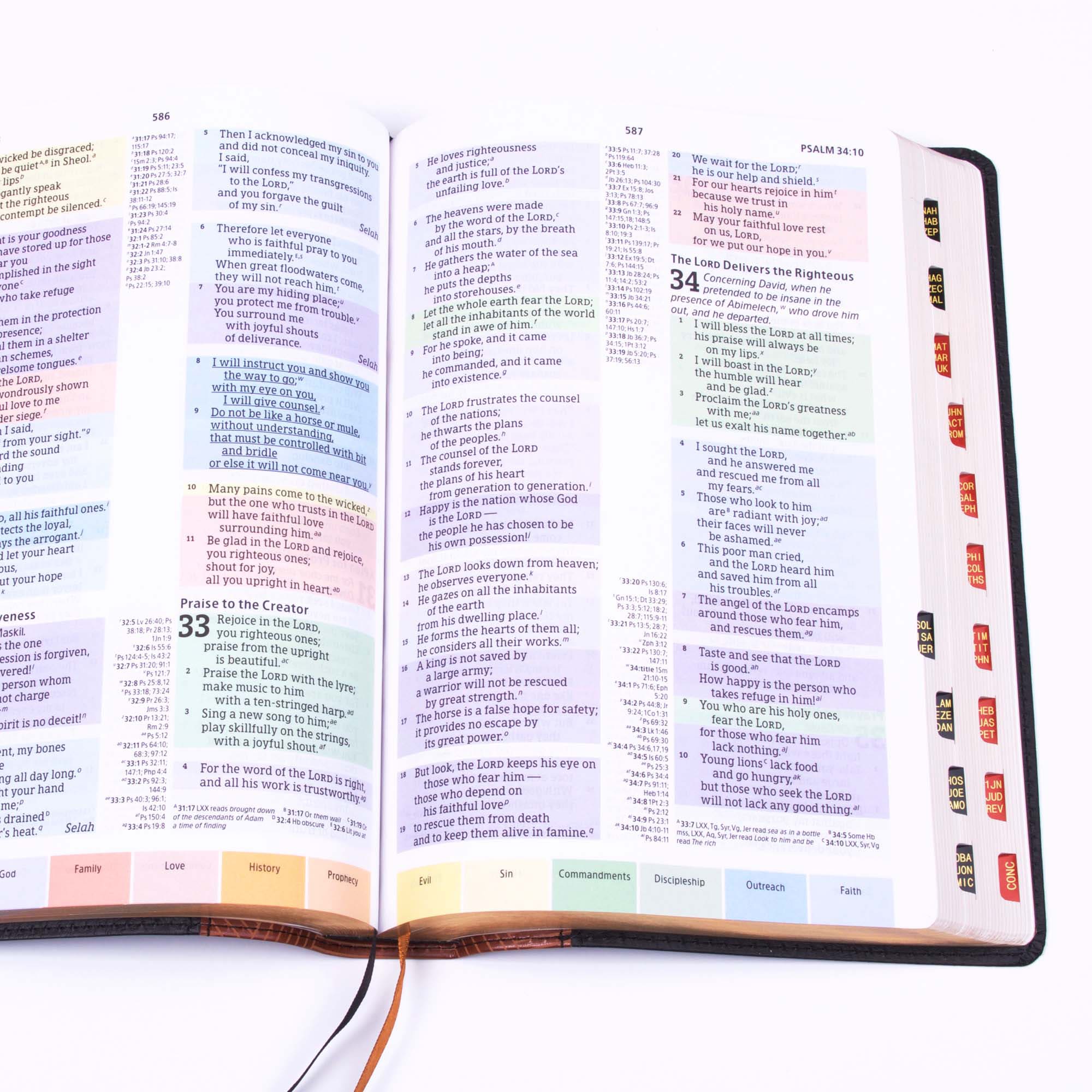 slide 4 of 10 for CSB Rainbow Study Bible, Black/Tan LeatherTouch, Indexed