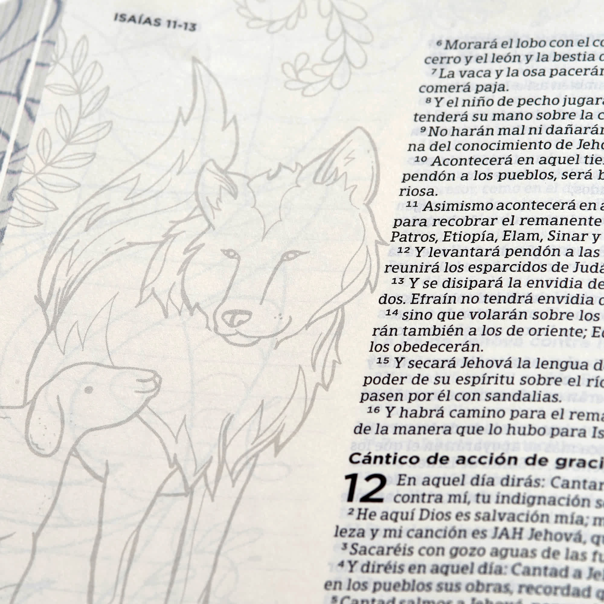 slide 7 of 8 for RVR 1960 Biblia de apuntes, edición ilustrada, tela en rosado y azul