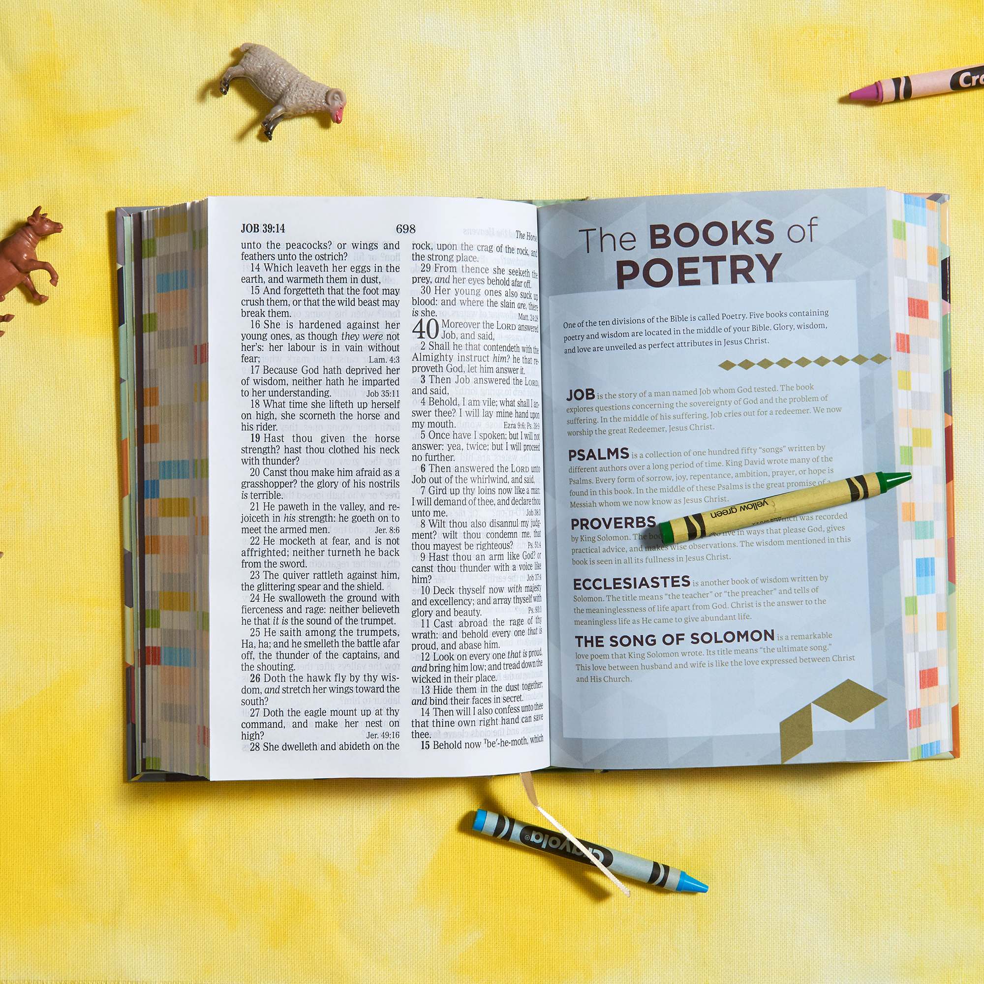 slide 6 of 12 for KJV Kids Bible, Hardcover