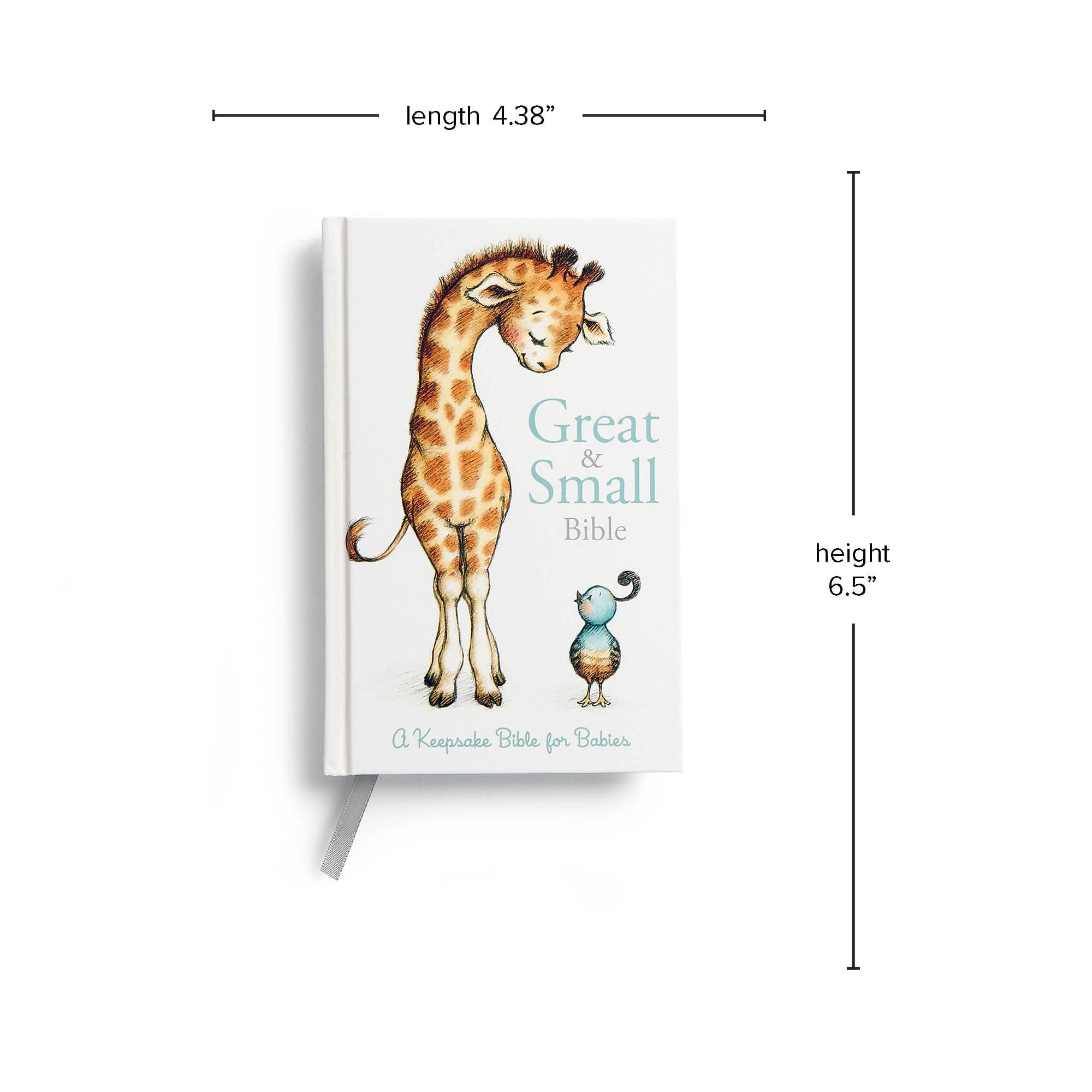 slide 7 of 12 for CSB Great and Small Bible, Hardcover