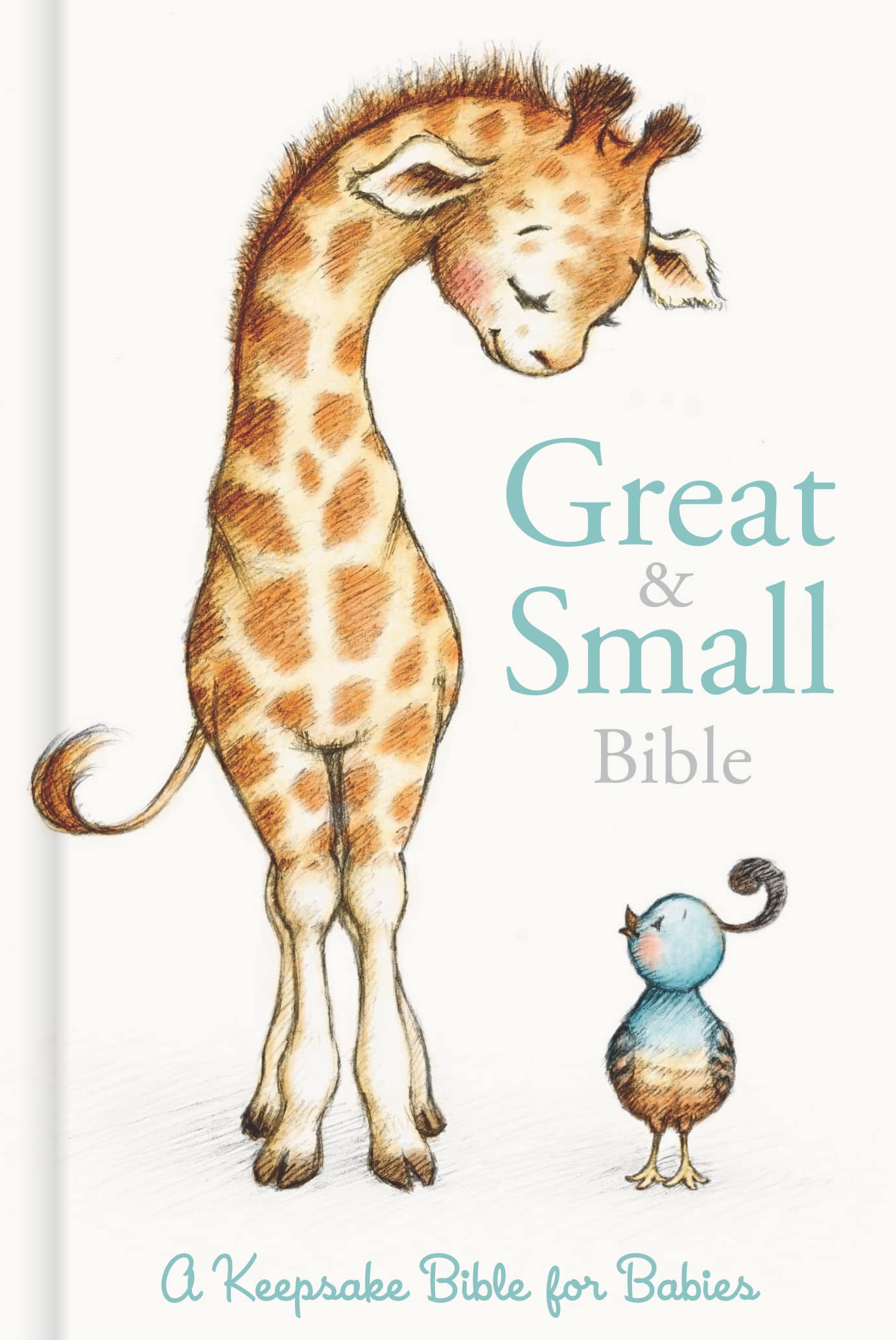 slide 12 of 12 for CSB Great and Small Bible, Hardcover