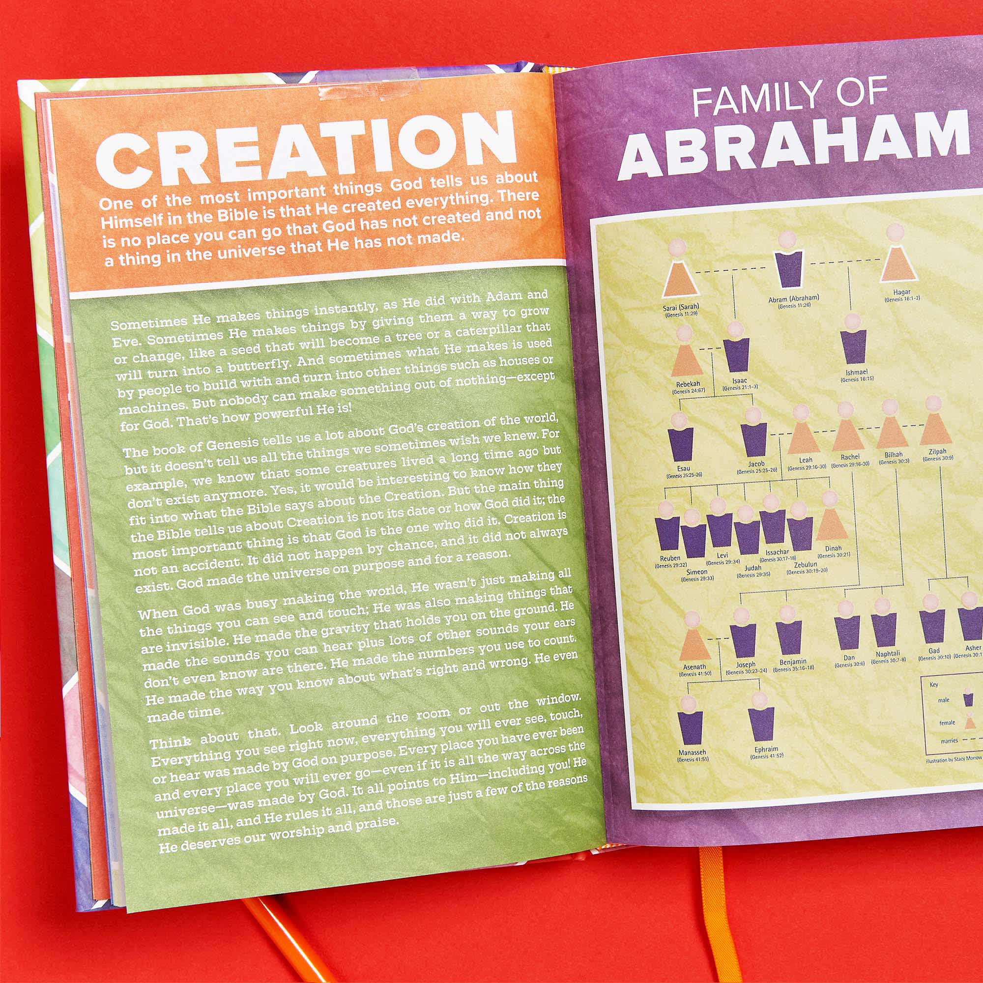 slide 6 of 9 for CSB Kids Bible, Hardcover