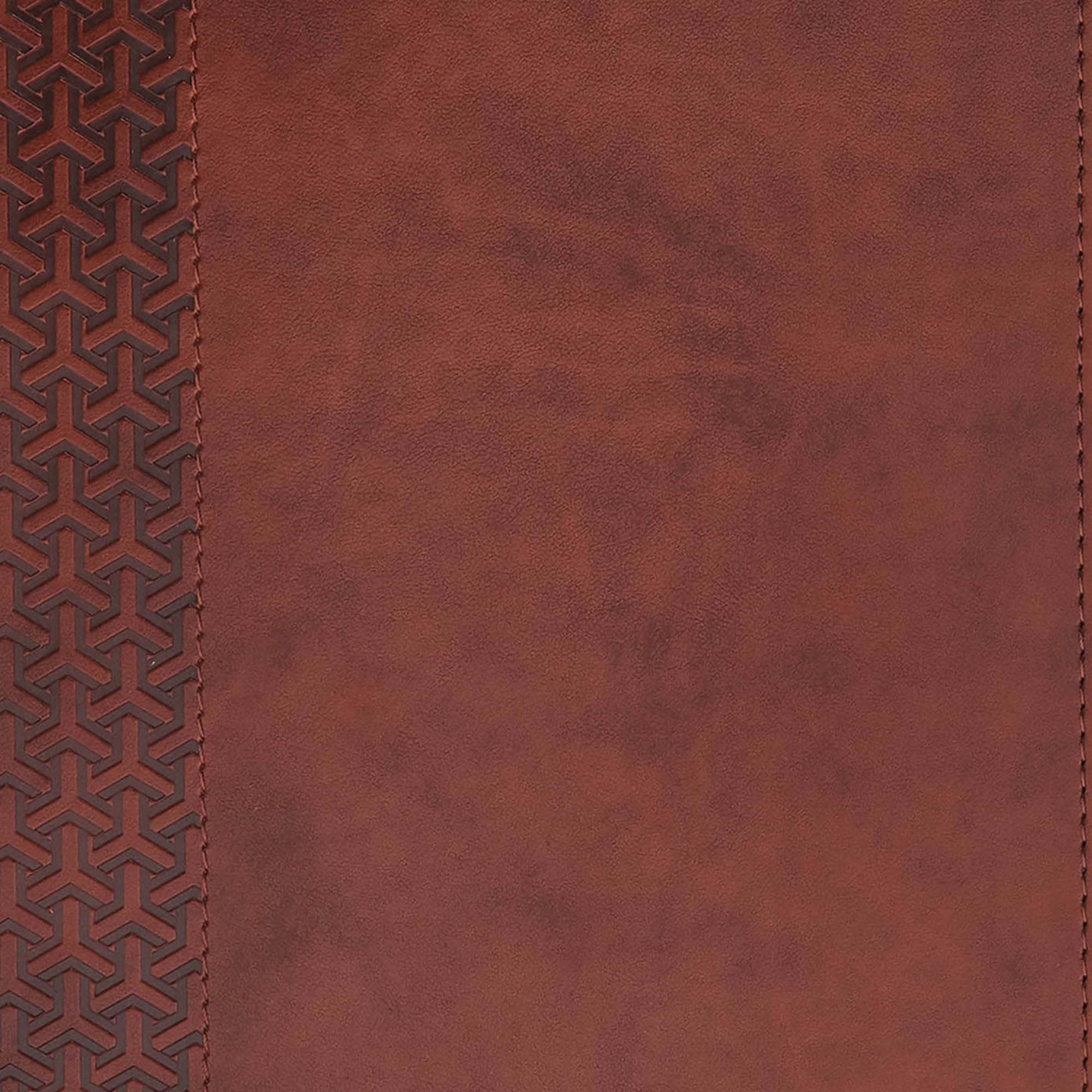 slide 9 of 10 for CSB Everyday Study Bible, British Tan LeatherTouch