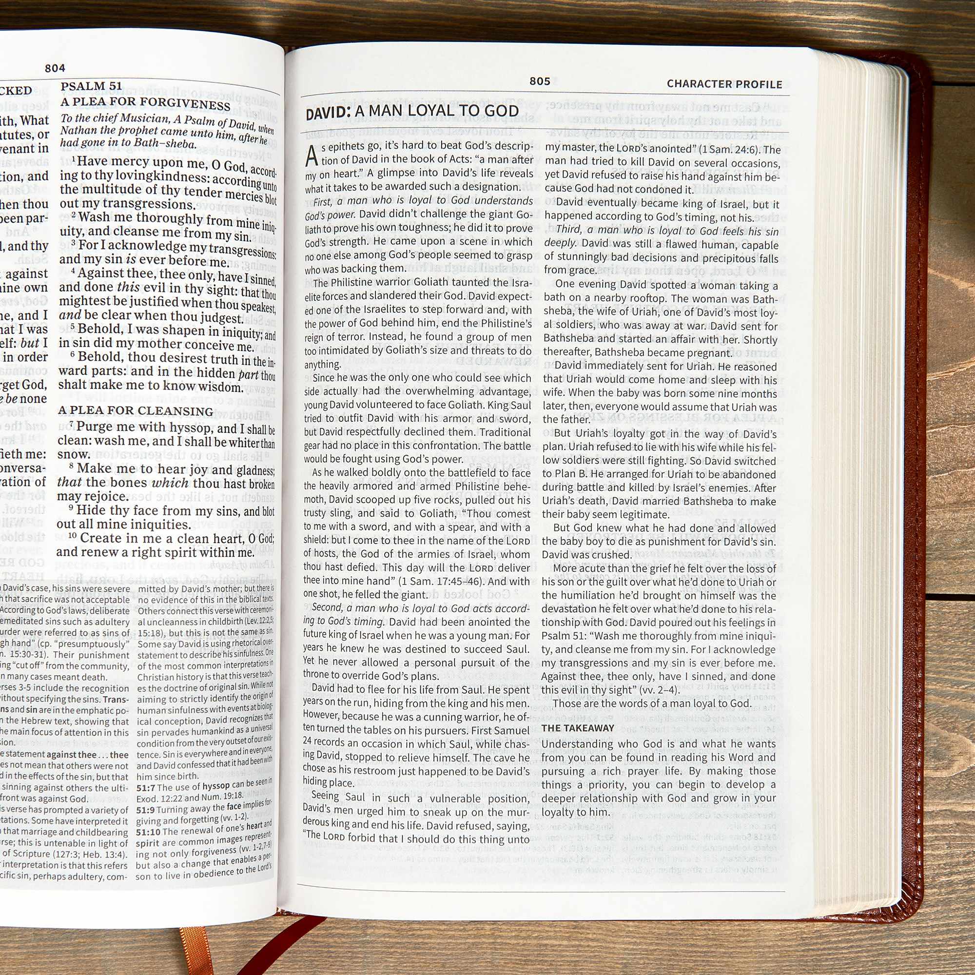 slide 8 of 10 for KJV Everyday Study Bible, British Tan LeatherTouch