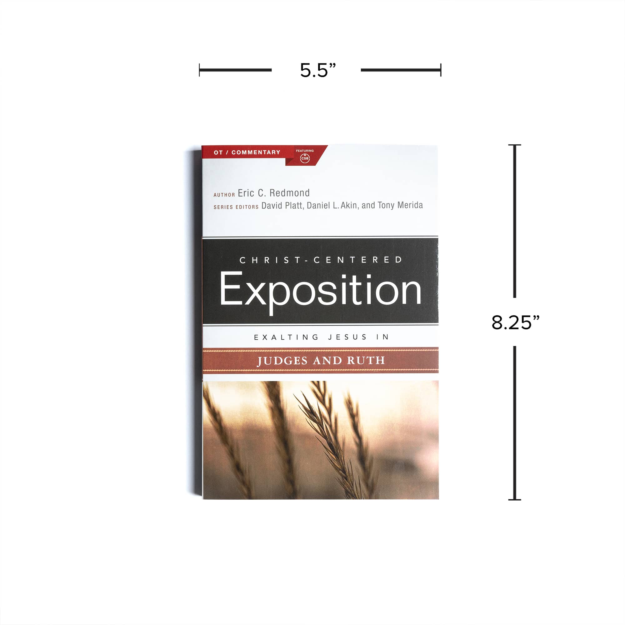 slide 8 of 10 for Exalting Jesus in Judges and Ruth