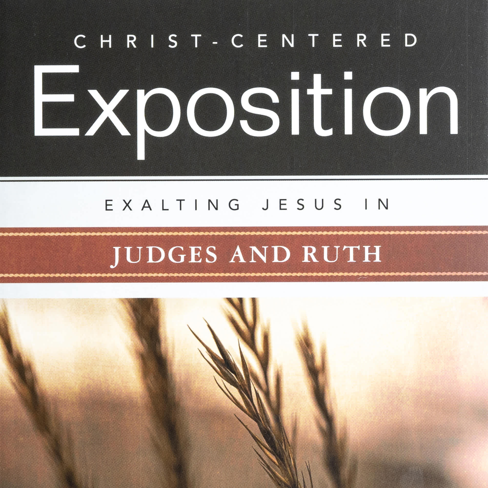 slide 9 of 10 for Exalting Jesus in Judges and Ruth