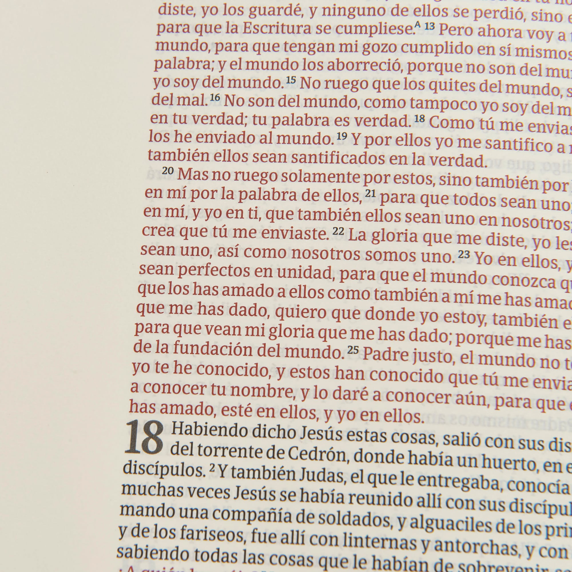slide 6 of 6 for RVR 1960 Biblia de apuntes edición letra grande, piel fabricada y mosaico crema y azul