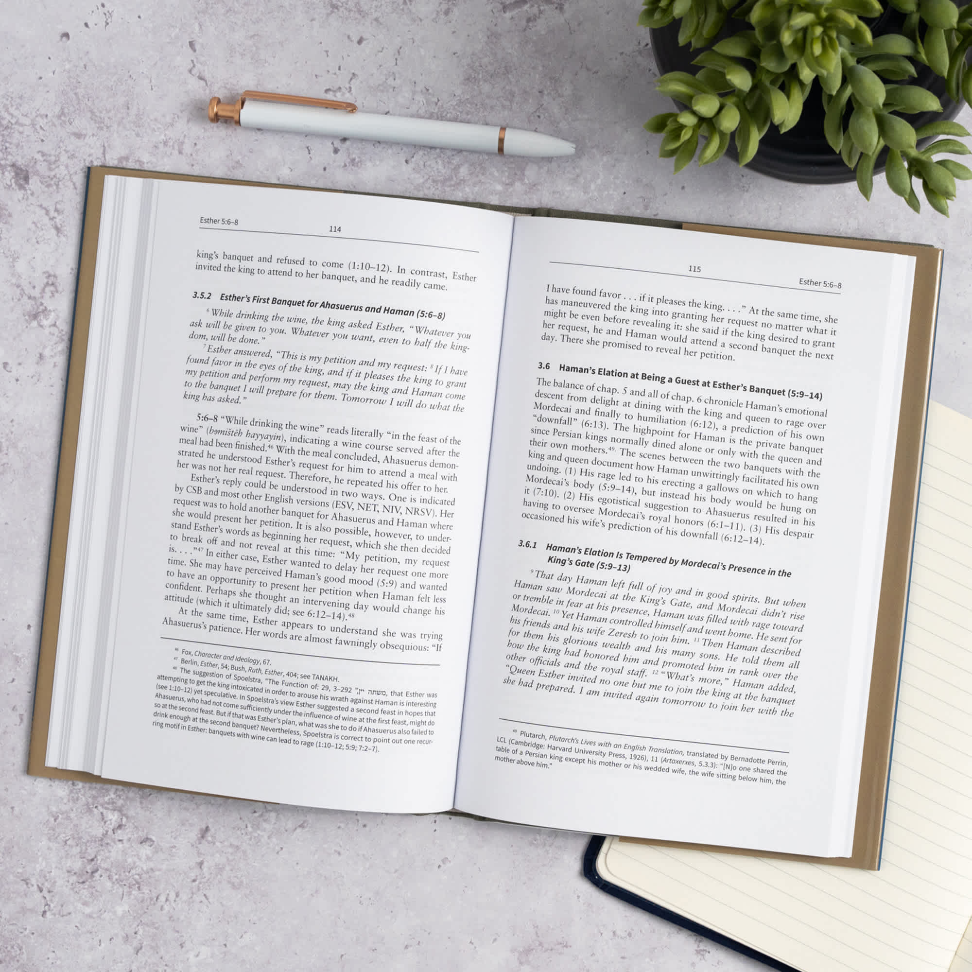 slide 7 of 10 for Esther: The Christian Standard Commentary