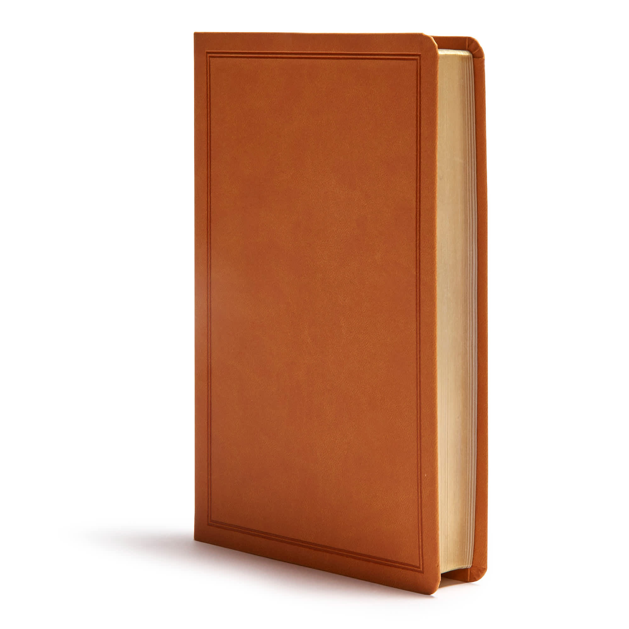 slide 3 of 8 for CSB Deluxe Gift Bible, Tan LeatherTouch