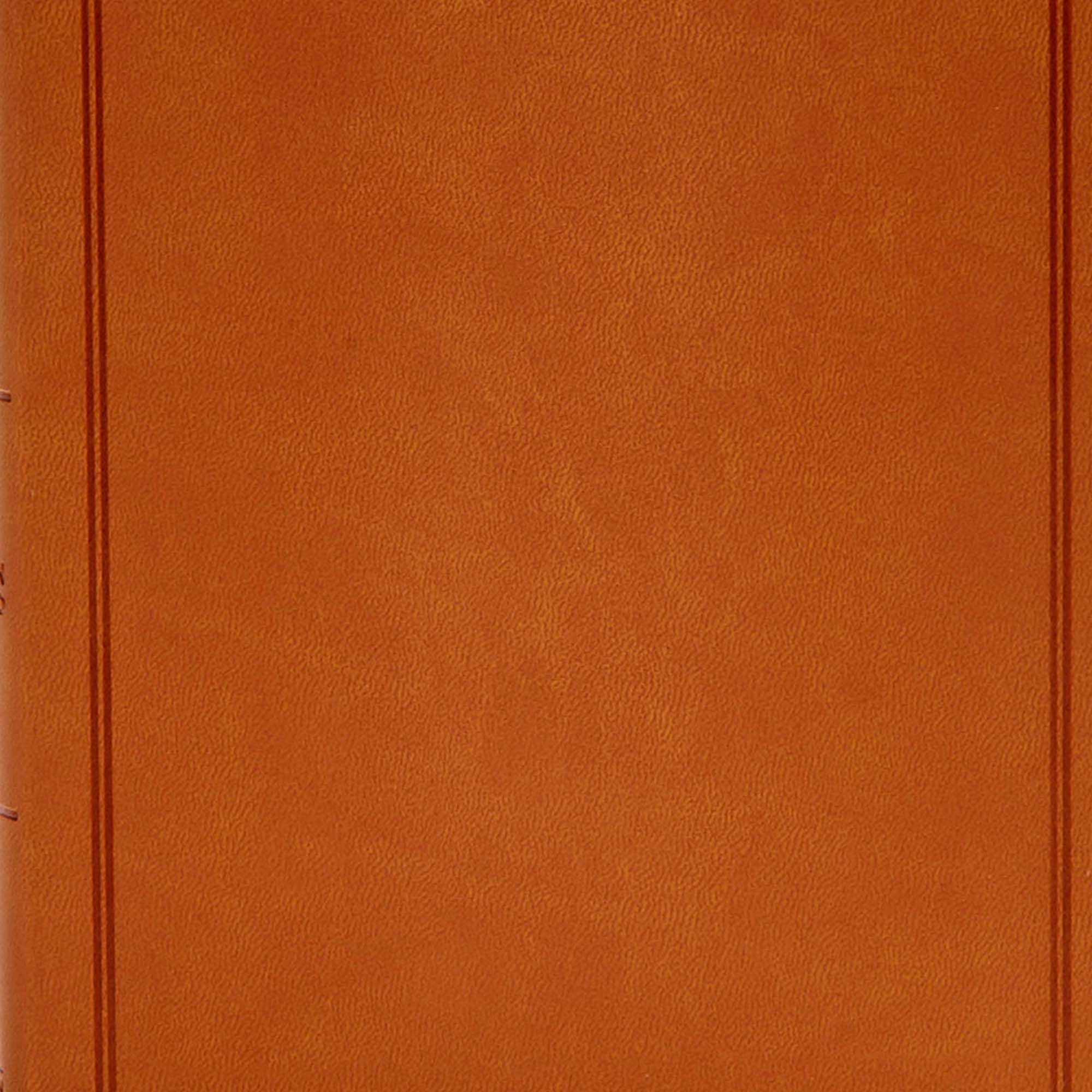 slide 7 of 8 for CSB Deluxe Gift Bible, Tan LeatherTouch