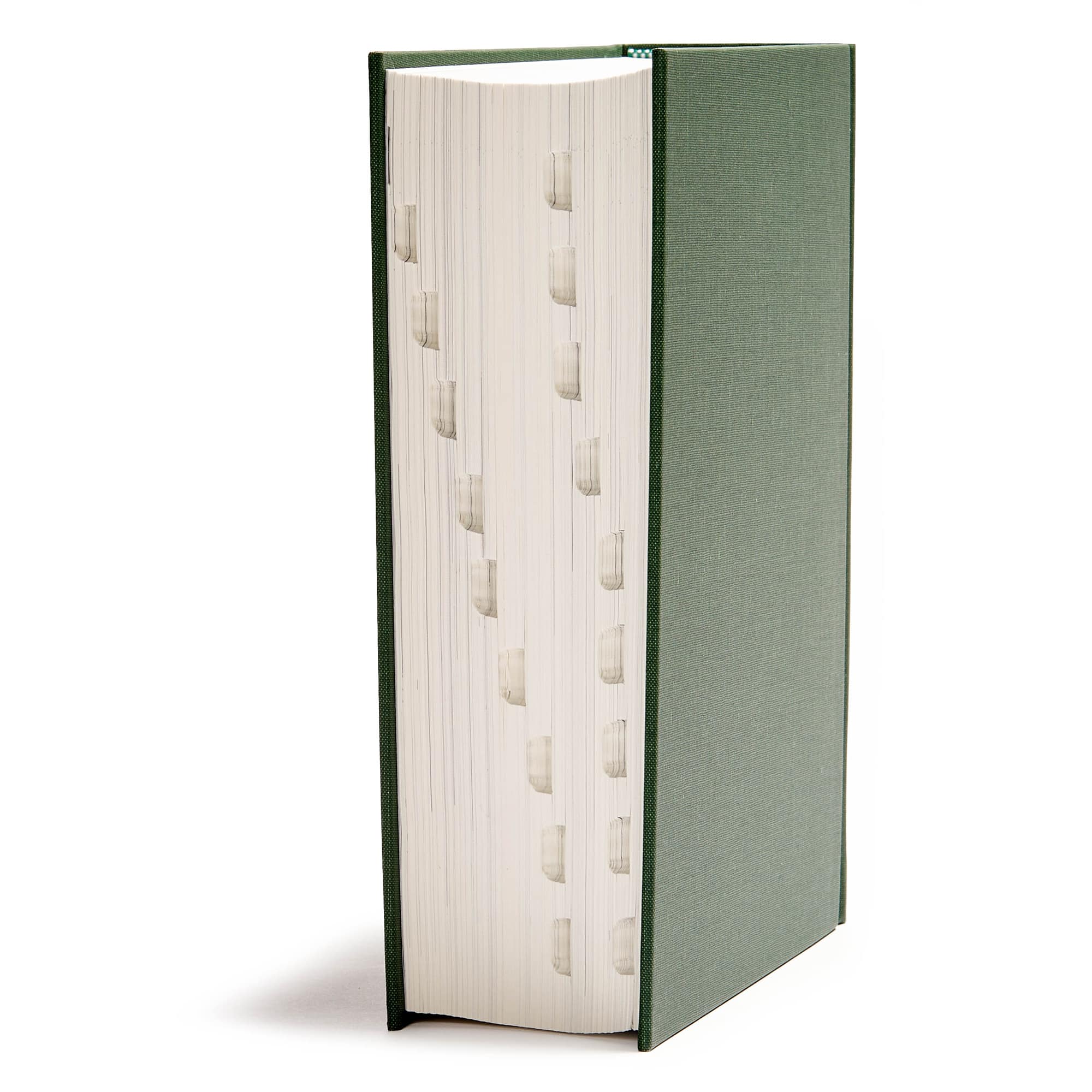 slide 3 of 10 for CSB He Reads Truth Bible, Evergreen Cloth Over Board, Indexed