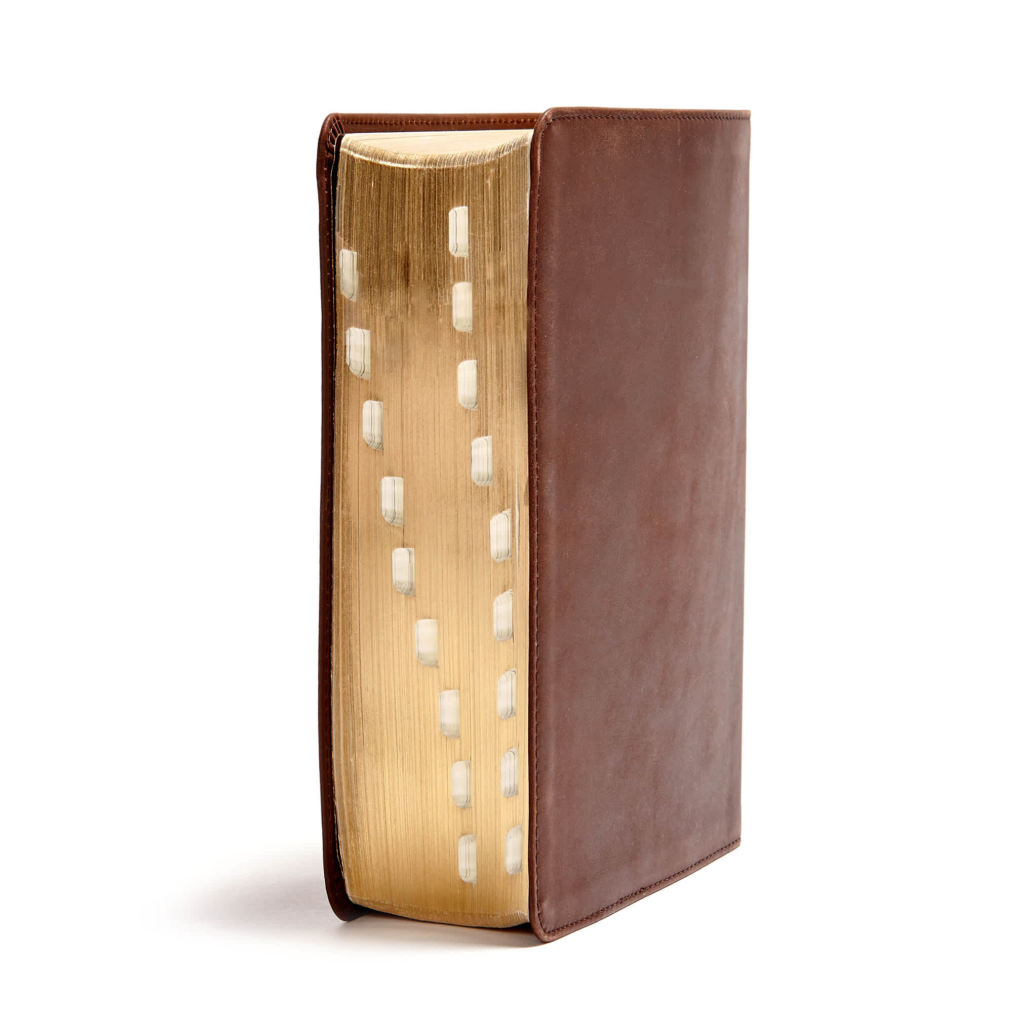 slide 3 of 10 for CSB He Reads Truth Bible, Brown Genuine Leather Indexed