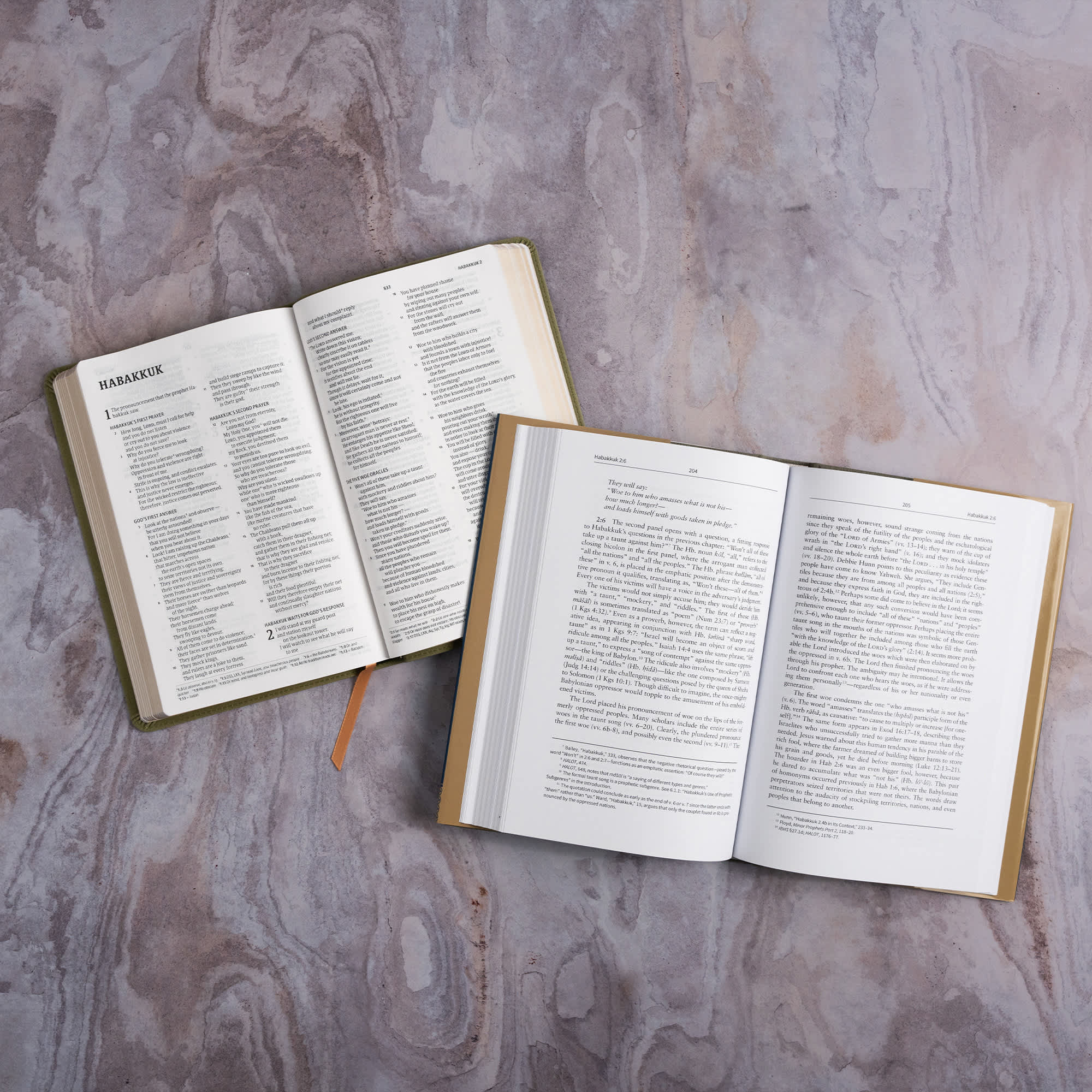 slide 14 of 18 for Habakkuk: The Christian Standard Commentary