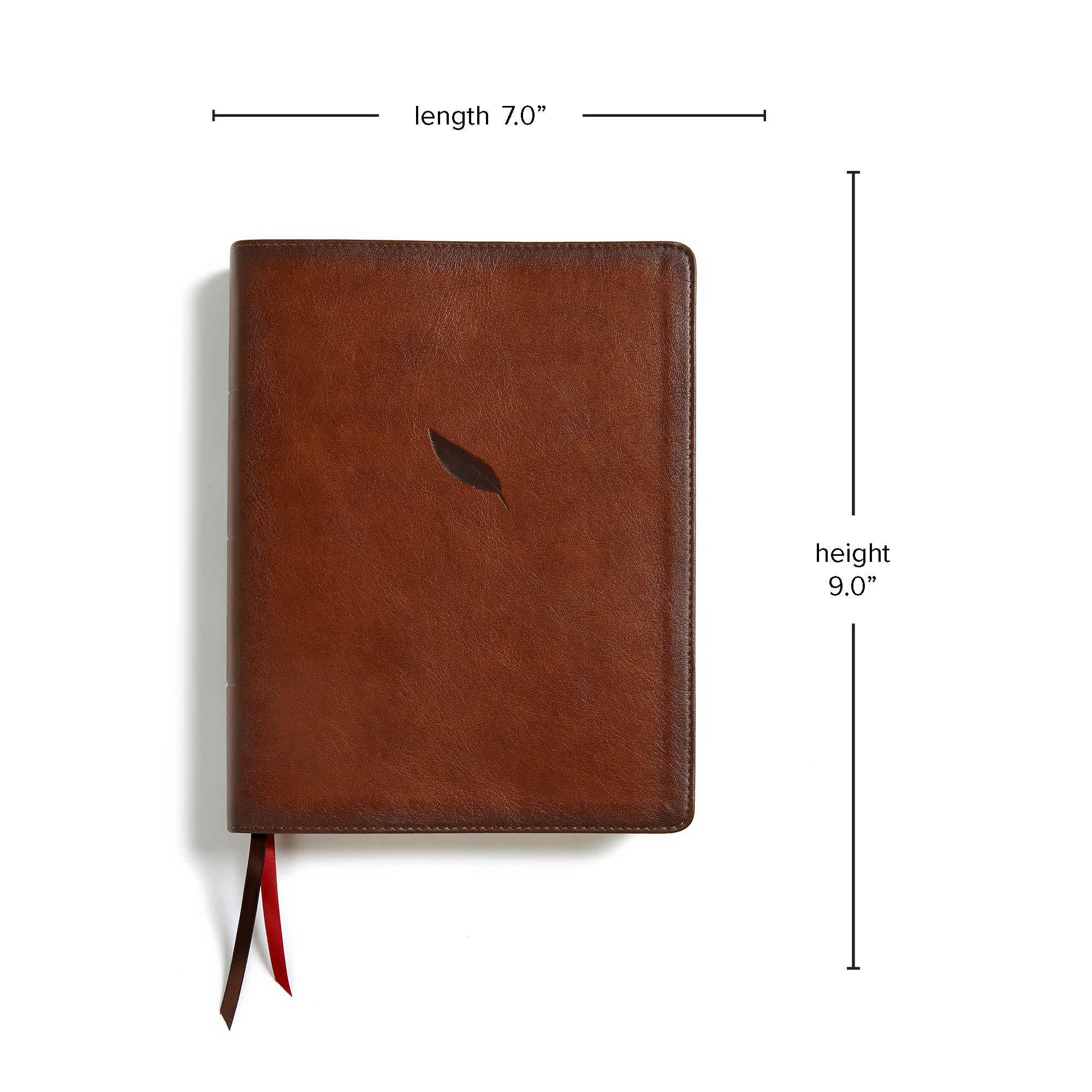 slide 6 of 7 for CSB Legacy Notetaking Bible, Tan LeatherTouch