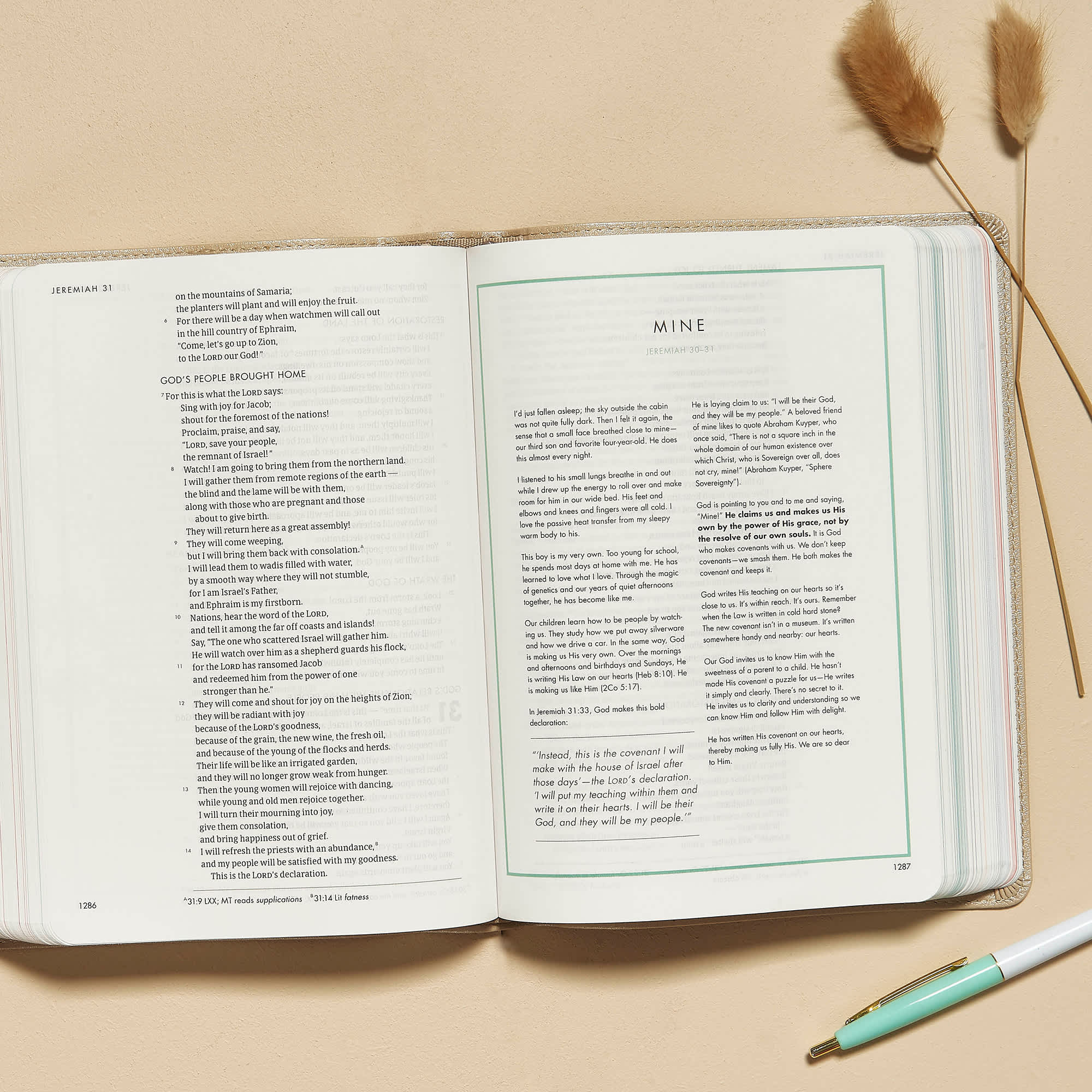 slide 7 of 10 for CSB She Reads Truth Bible, Champagne Gold LeatherTouch