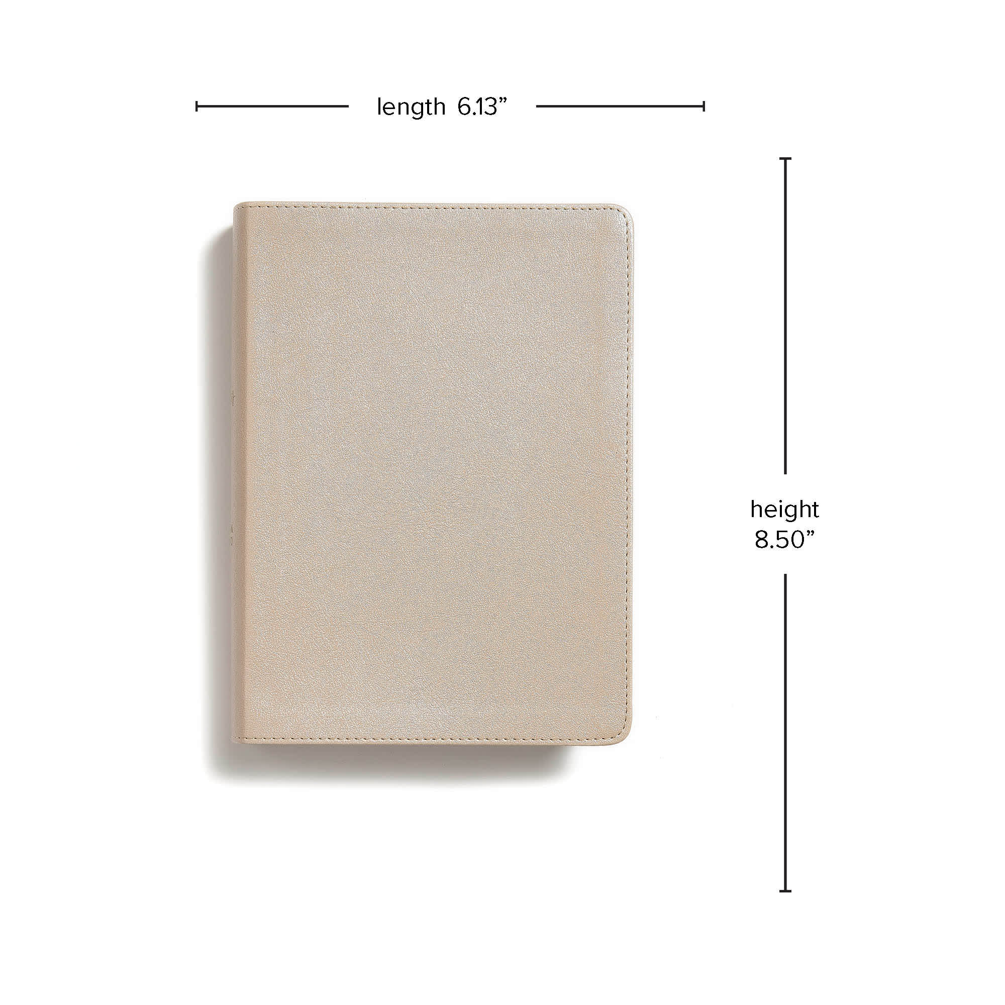 slide 8 of 10 for CSB She Reads Truth Bible, Champagne Gold LeatherTouch