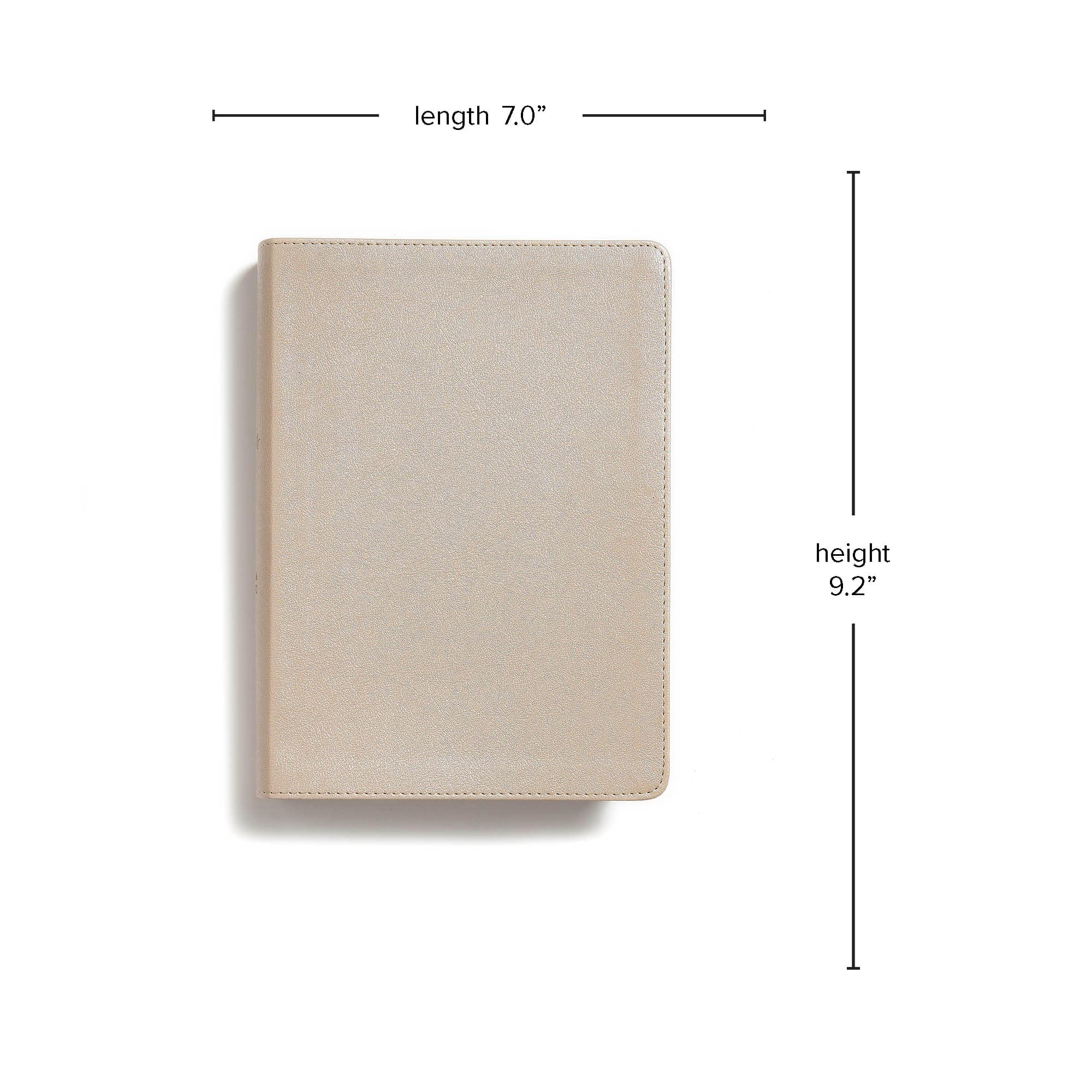 slide 8 of 10 for CSB She Reads Truth Bible, Champagne Gold LeatherTouch, Indexed