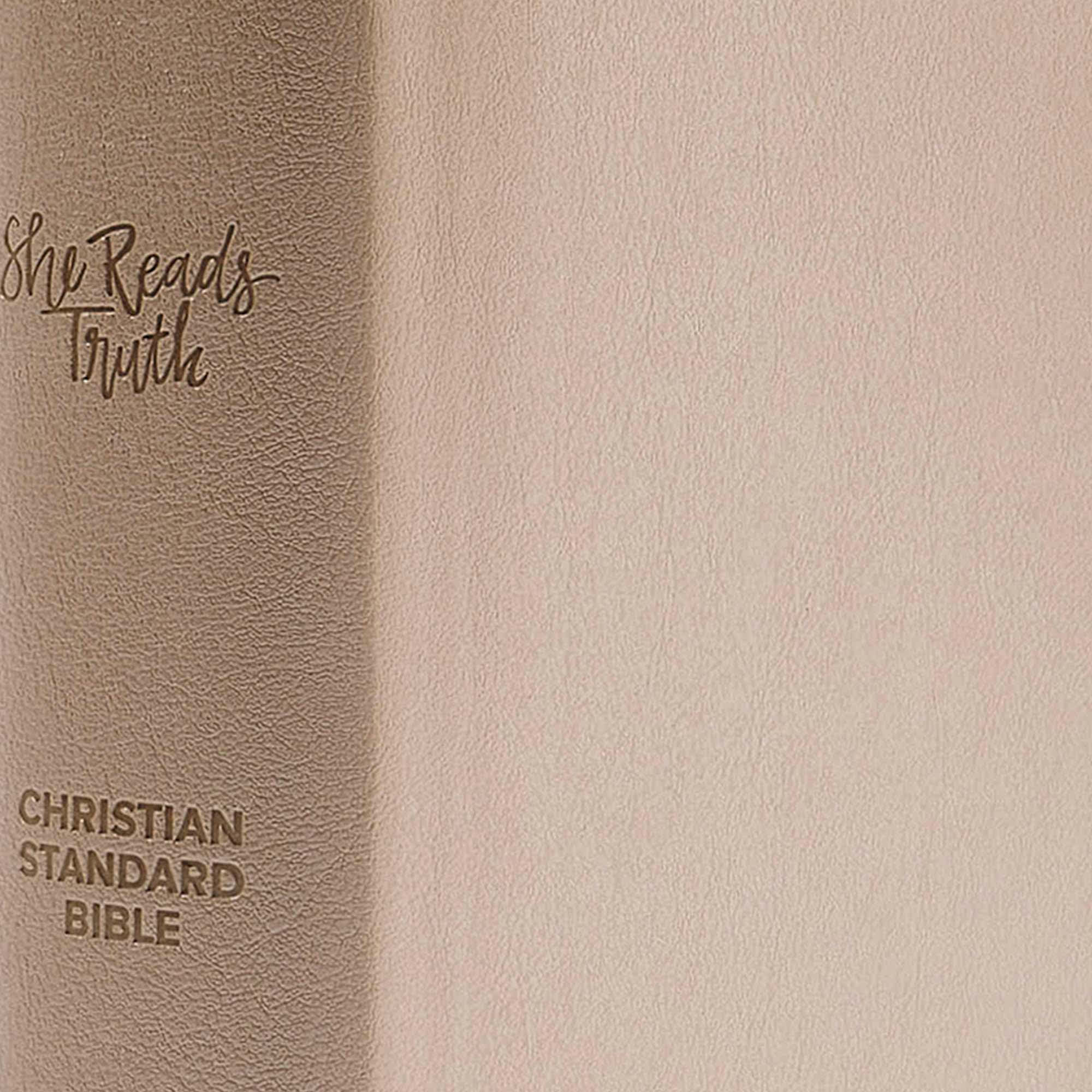 slide 9 of 10 for CSB She Reads Truth Bible, Champagne Gold LeatherTouch, Indexed