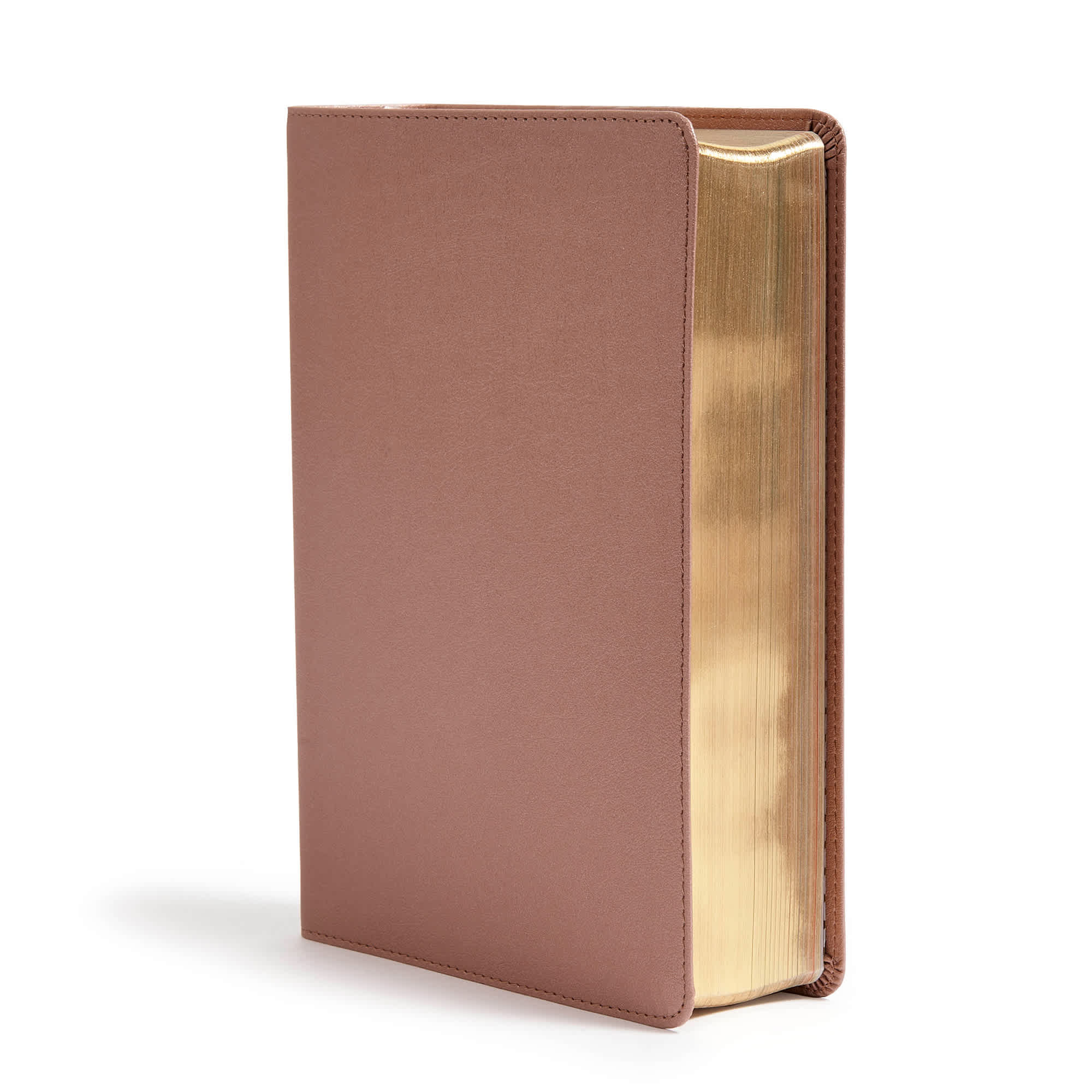 slide 3 of 10 for CSB She Reads Truth Bible, Rose Gold LeatherTouch