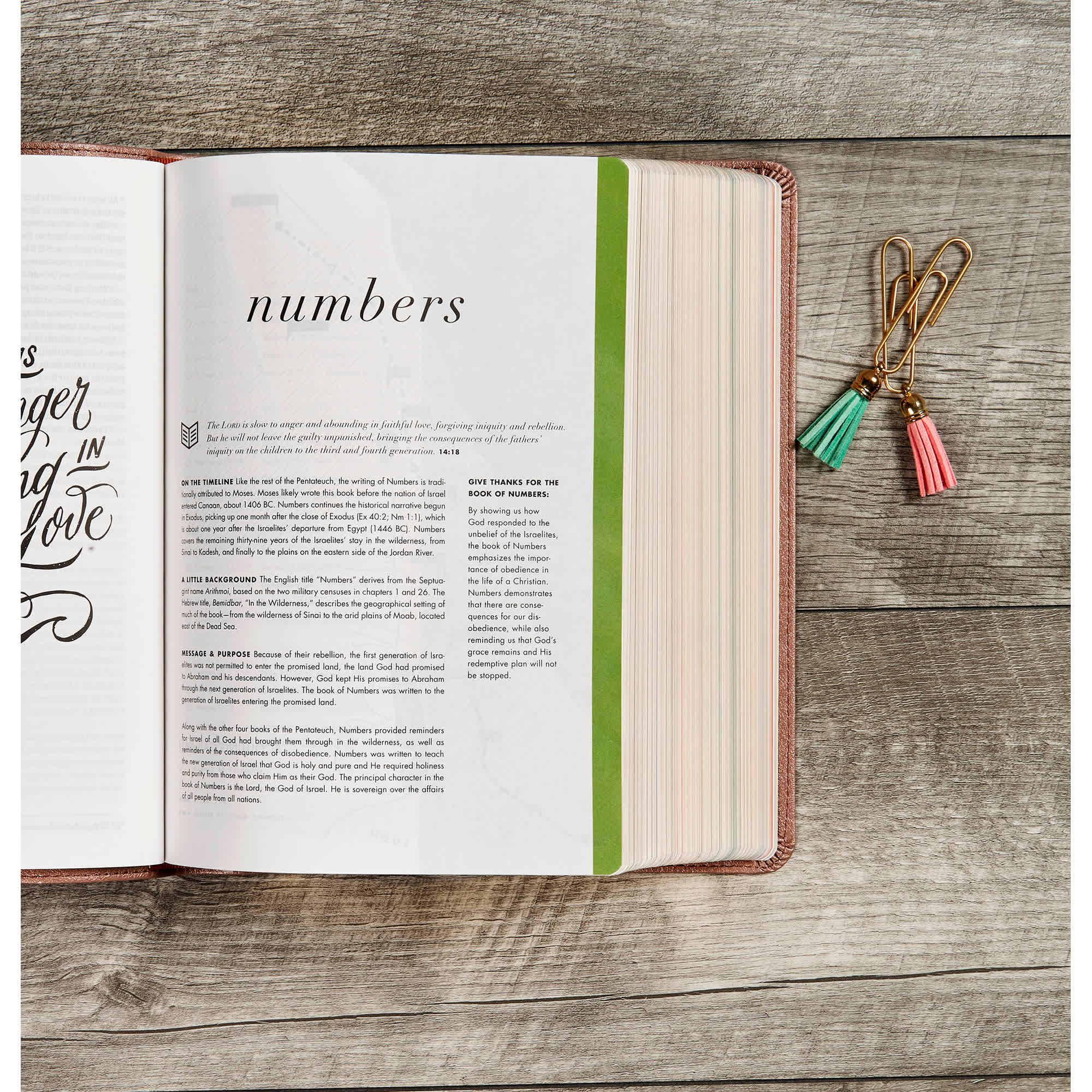 slide 4 of 10 for CSB She Reads Truth Bible, Rose Gold LeatherTouch