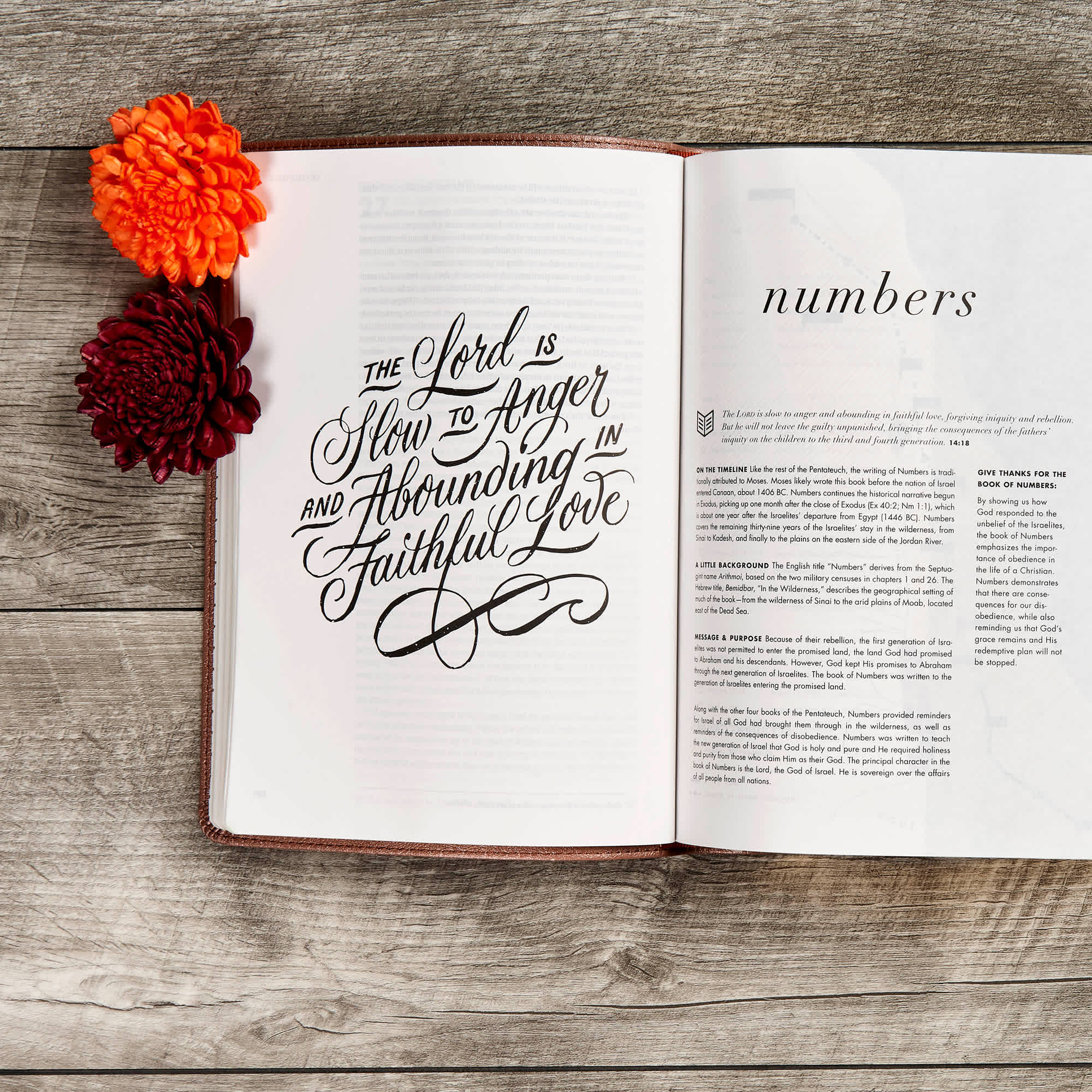 slide 5 of 10 for CSB She Reads Truth Bible, Rose Gold LeatherTouch