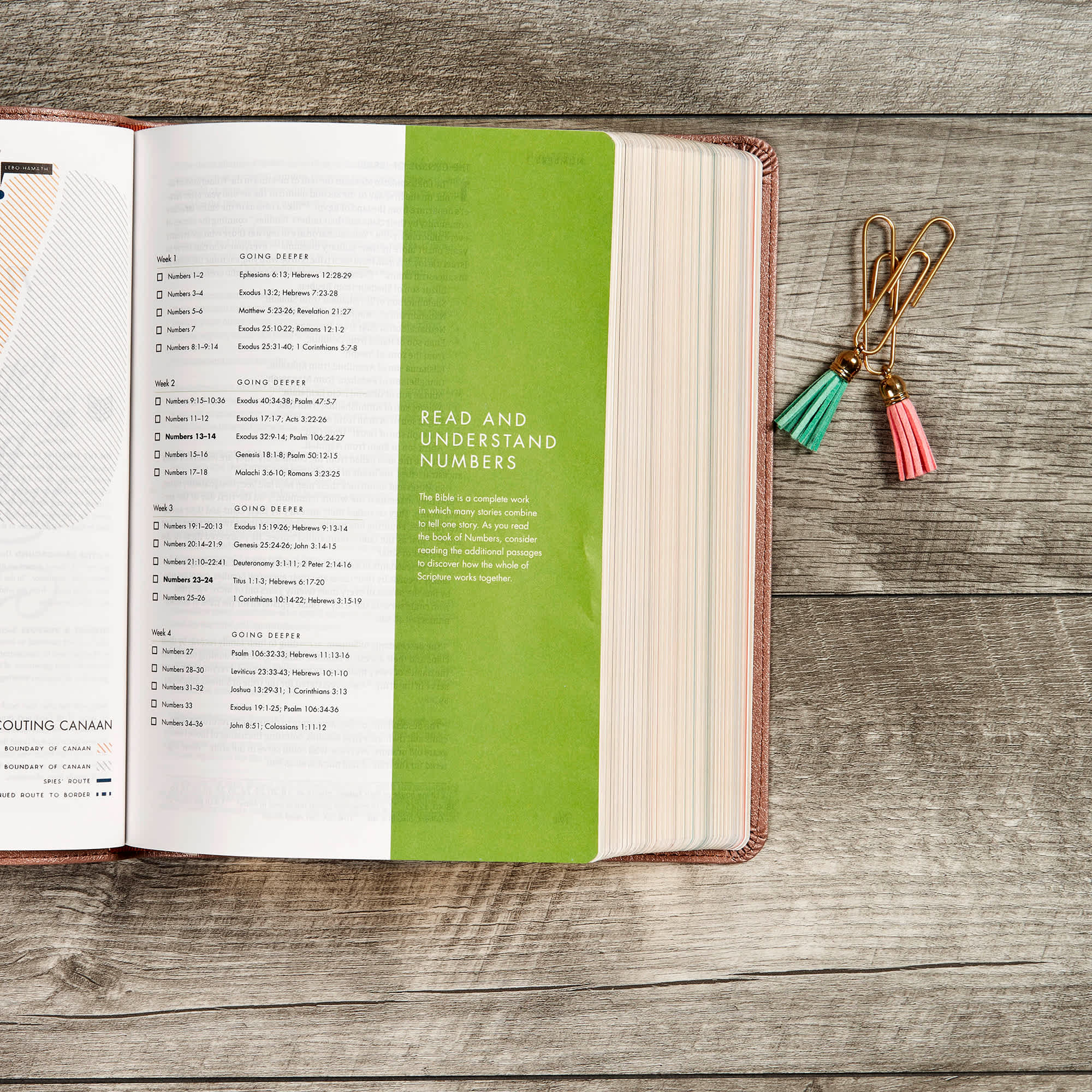 slide 7 of 10 for CSB She Reads Truth Bible, Rose Gold LeatherTouch