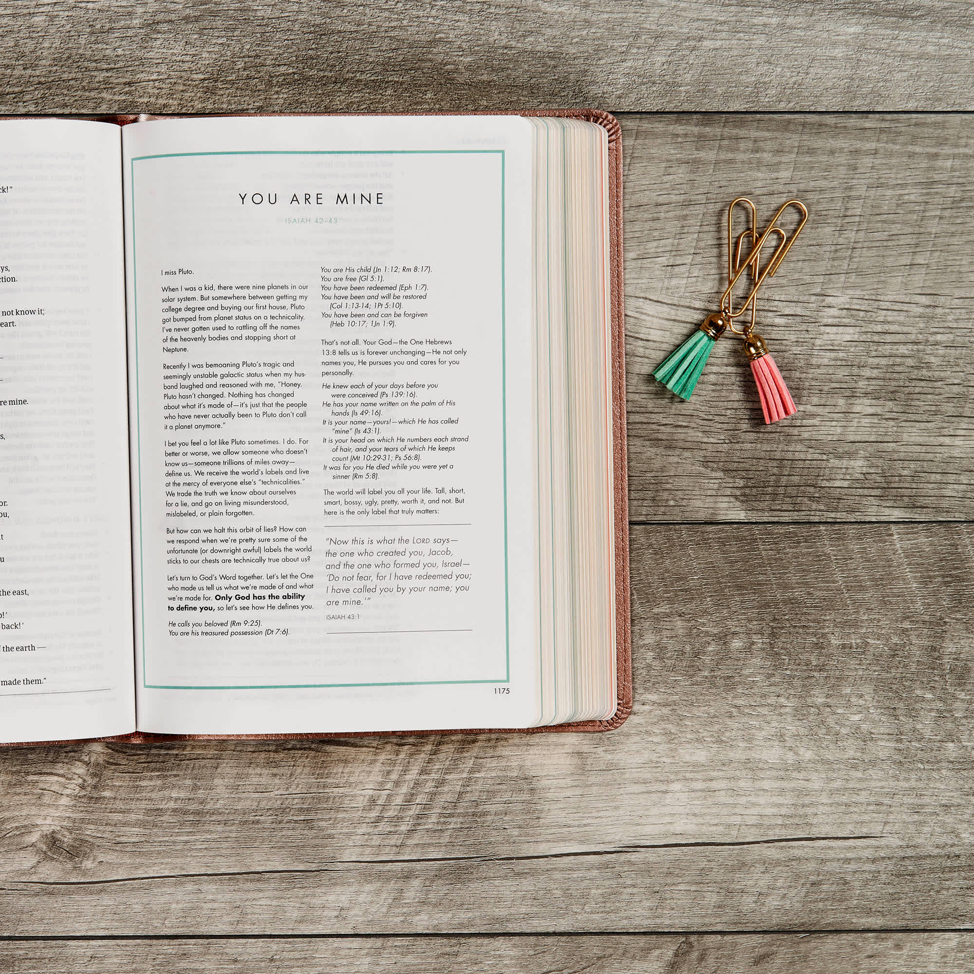 slide 10 of 10 for CSB She Reads Truth Bible, Rose Gold LeatherTouch