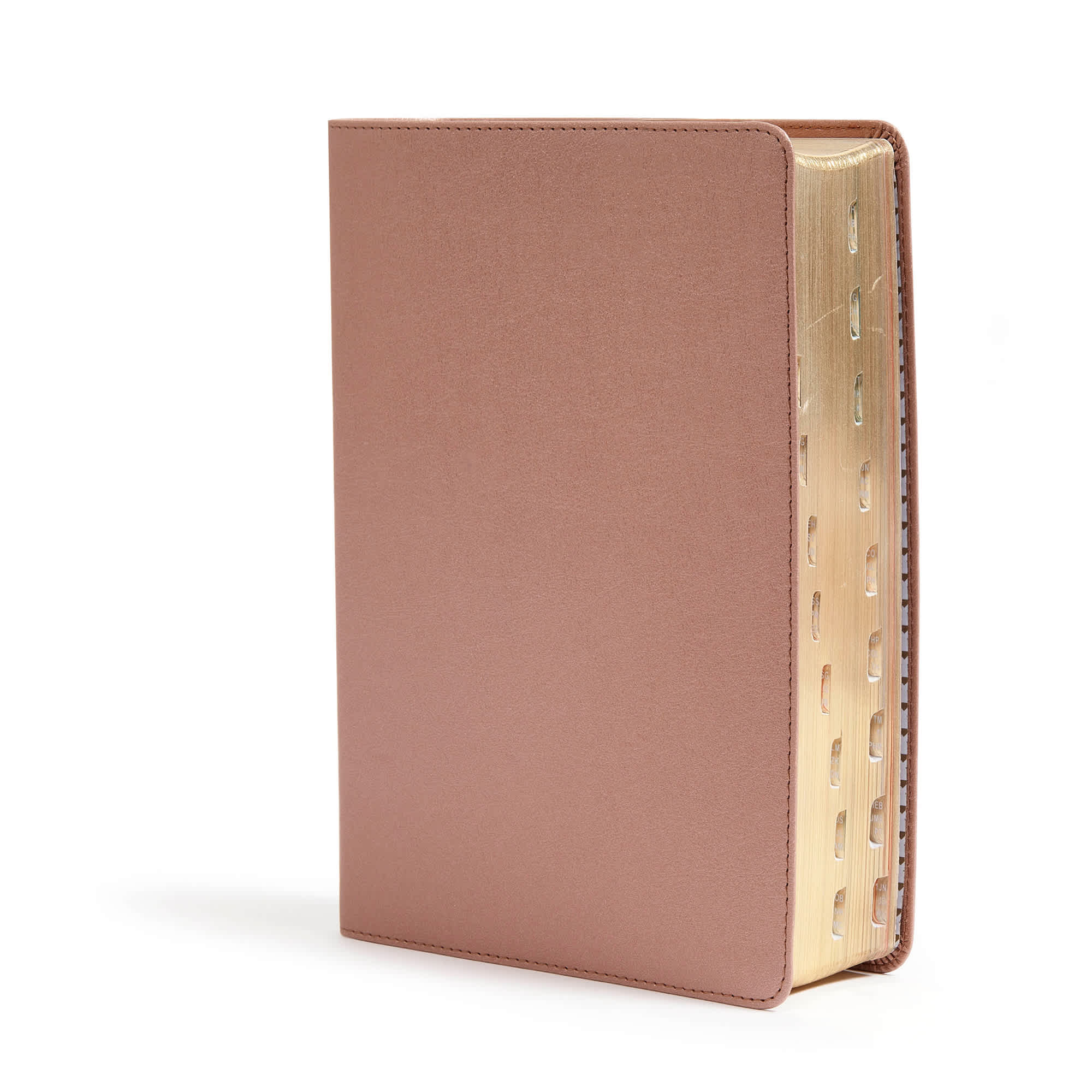 slide 3 of 10 for CSB She Reads Truth Bible, Rose Gold LeatherTouch, Indexed