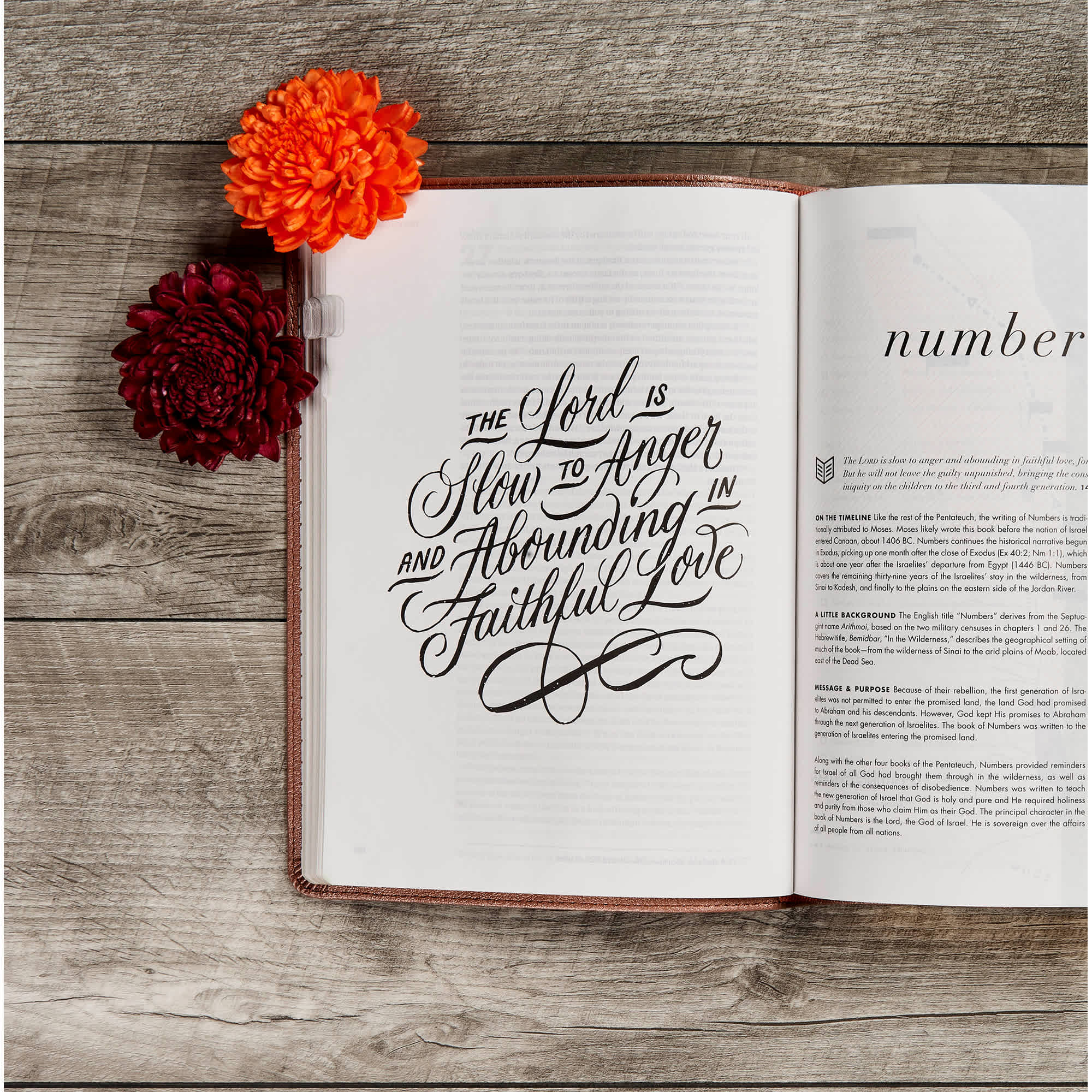 slide 4 of 10 for CSB She Reads Truth Bible, Rose Gold LeatherTouch, Indexed
