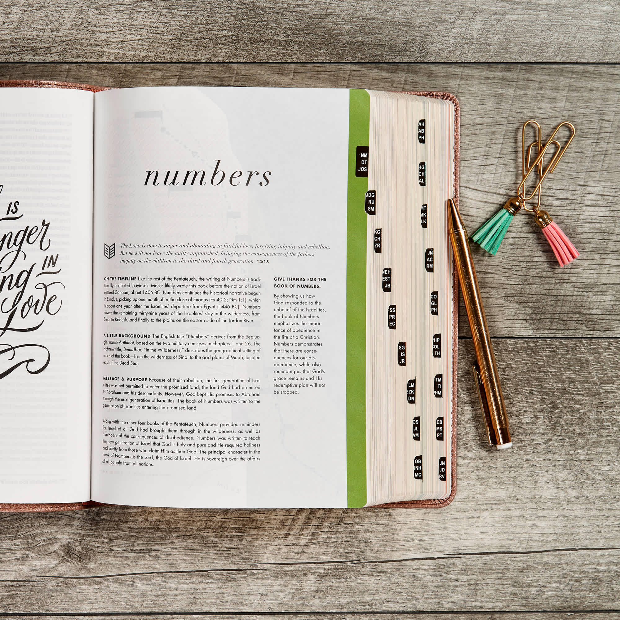 slide 5 of 10 for CSB She Reads Truth Bible, Rose Gold LeatherTouch, Indexed