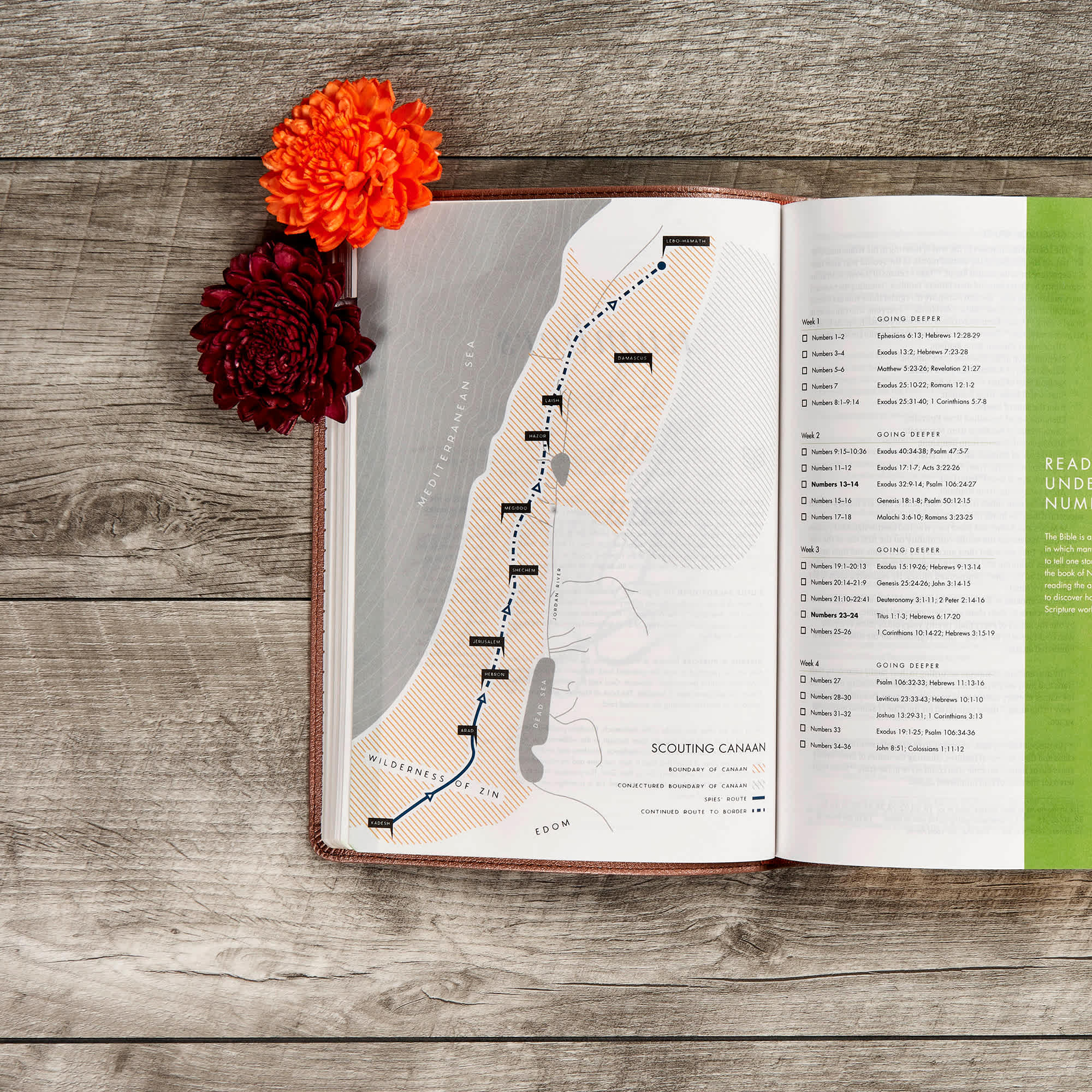 slide 6 of 10 for CSB She Reads Truth Bible, Rose Gold LeatherTouch, Indexed