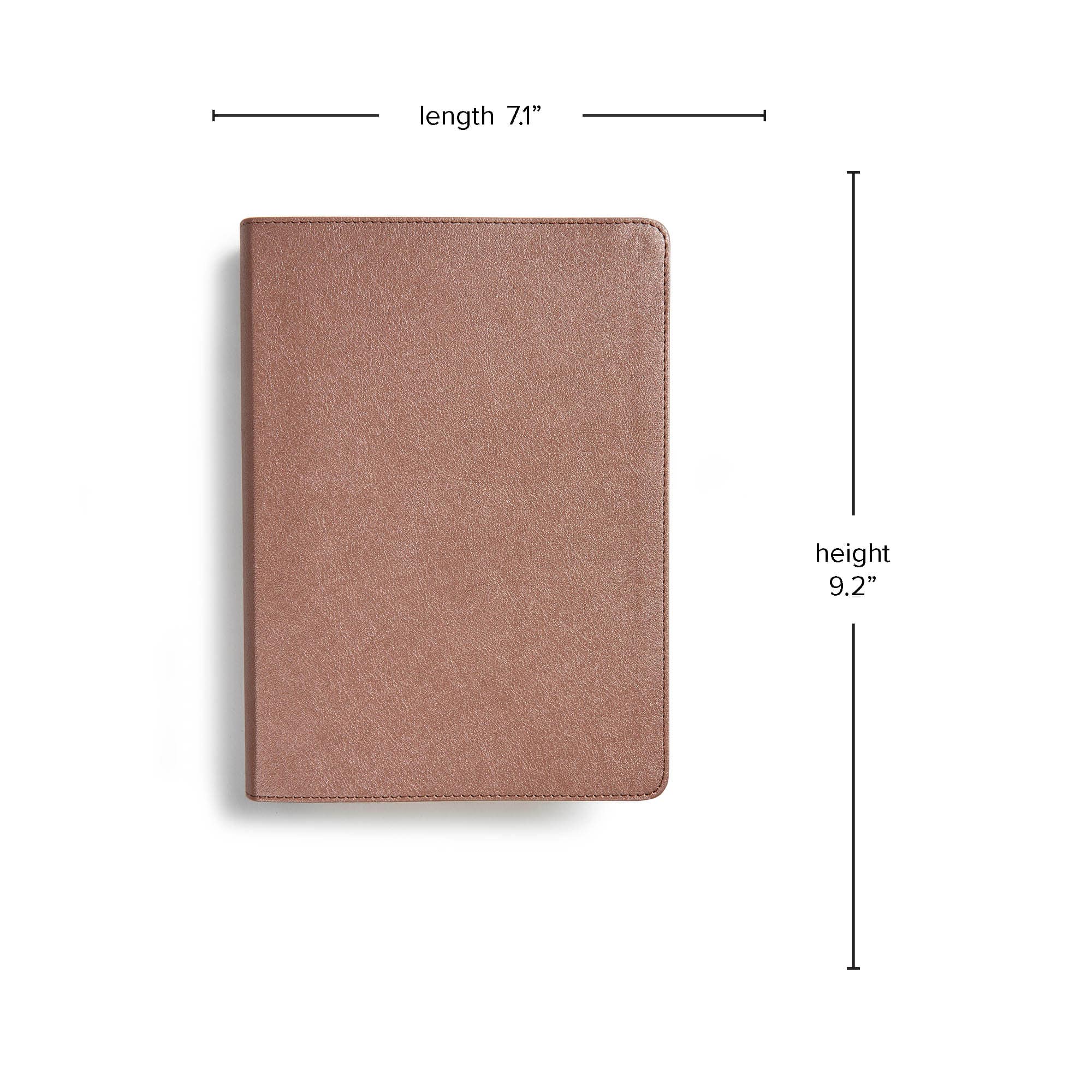 slide 8 of 10 for CSB She Reads Truth Bible, Rose Gold LeatherTouch, Indexed