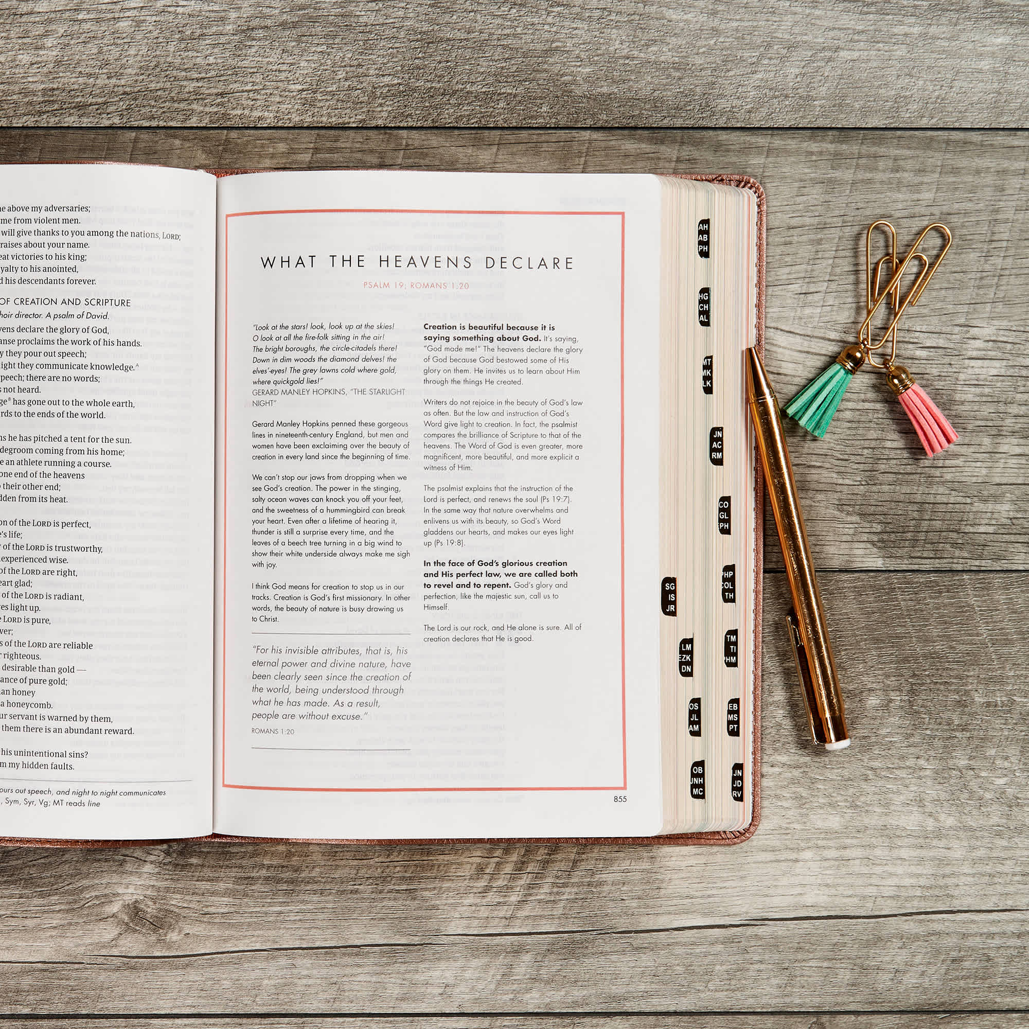 slide 10 of 10 for CSB She Reads Truth Bible, Rose Gold LeatherTouch, Indexed
