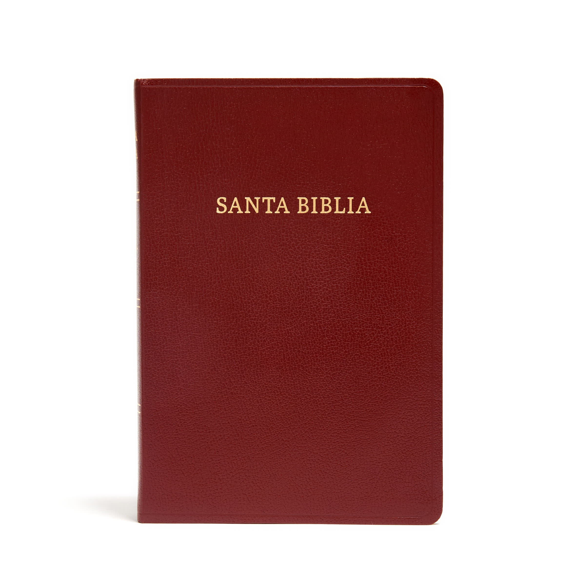 slide 3 of 8 for RVR 1960 Biblia letra gigante, borgoña imitación piel con índice