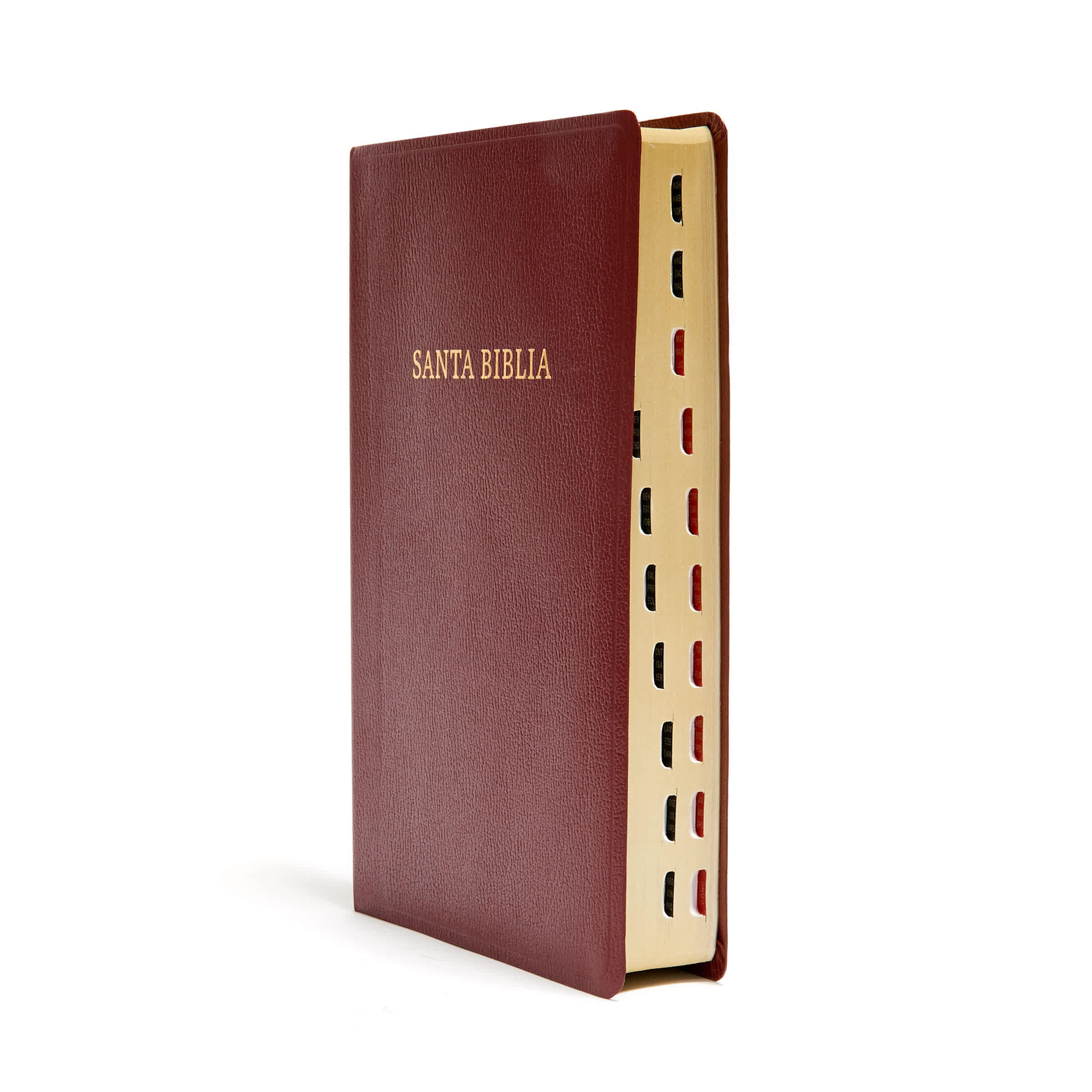 slide 4 of 8 for RVR 1960 Biblia letra gigante, borgoña imitación piel con índice